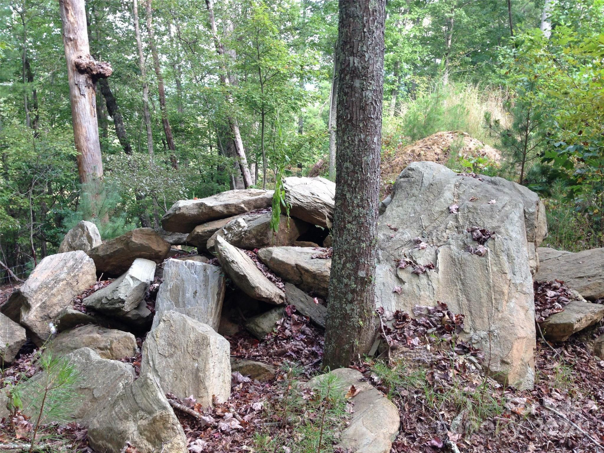 6 French Broad Overlook #Lot 2 - Photo 20