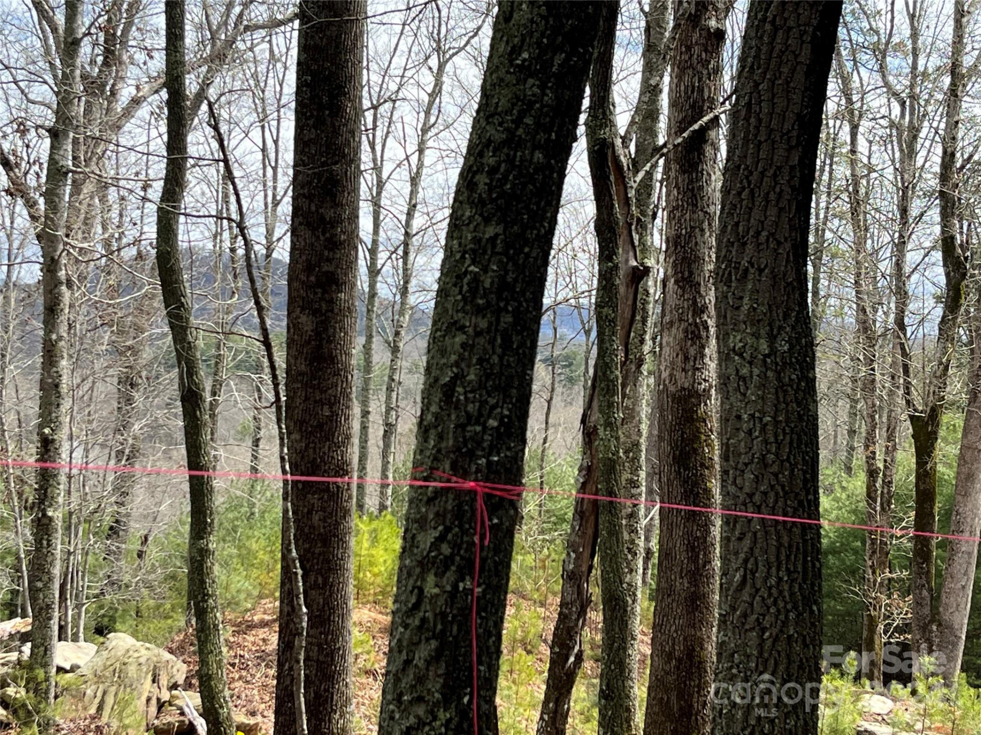 6 French Broad Overlook #Lot 2 - Photo 3