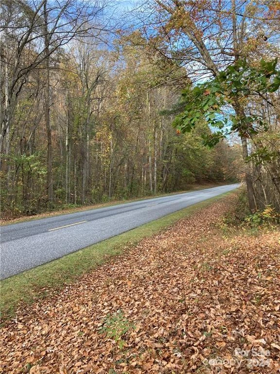 6 French Broad Overlook #Lot 2 - Photo 21
