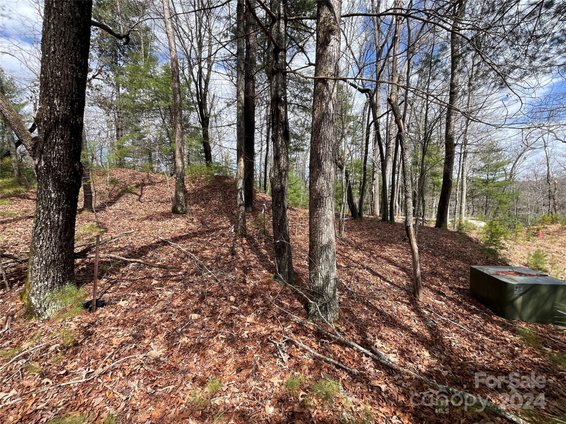 6 French Broad Overlook #Lot 2 - Photo 6