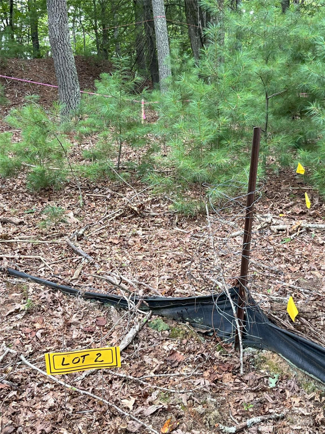 6 French Broad Overlook #Lot 2 - Photo 7