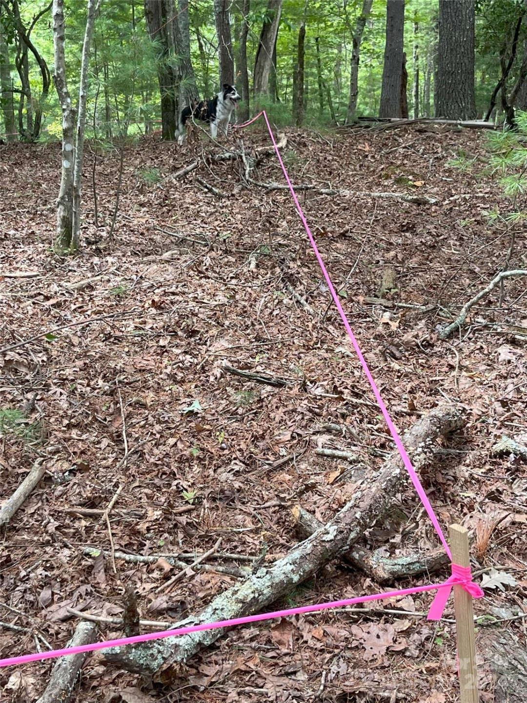 6 French Broad Overlook #Lot 2 - Photo 8