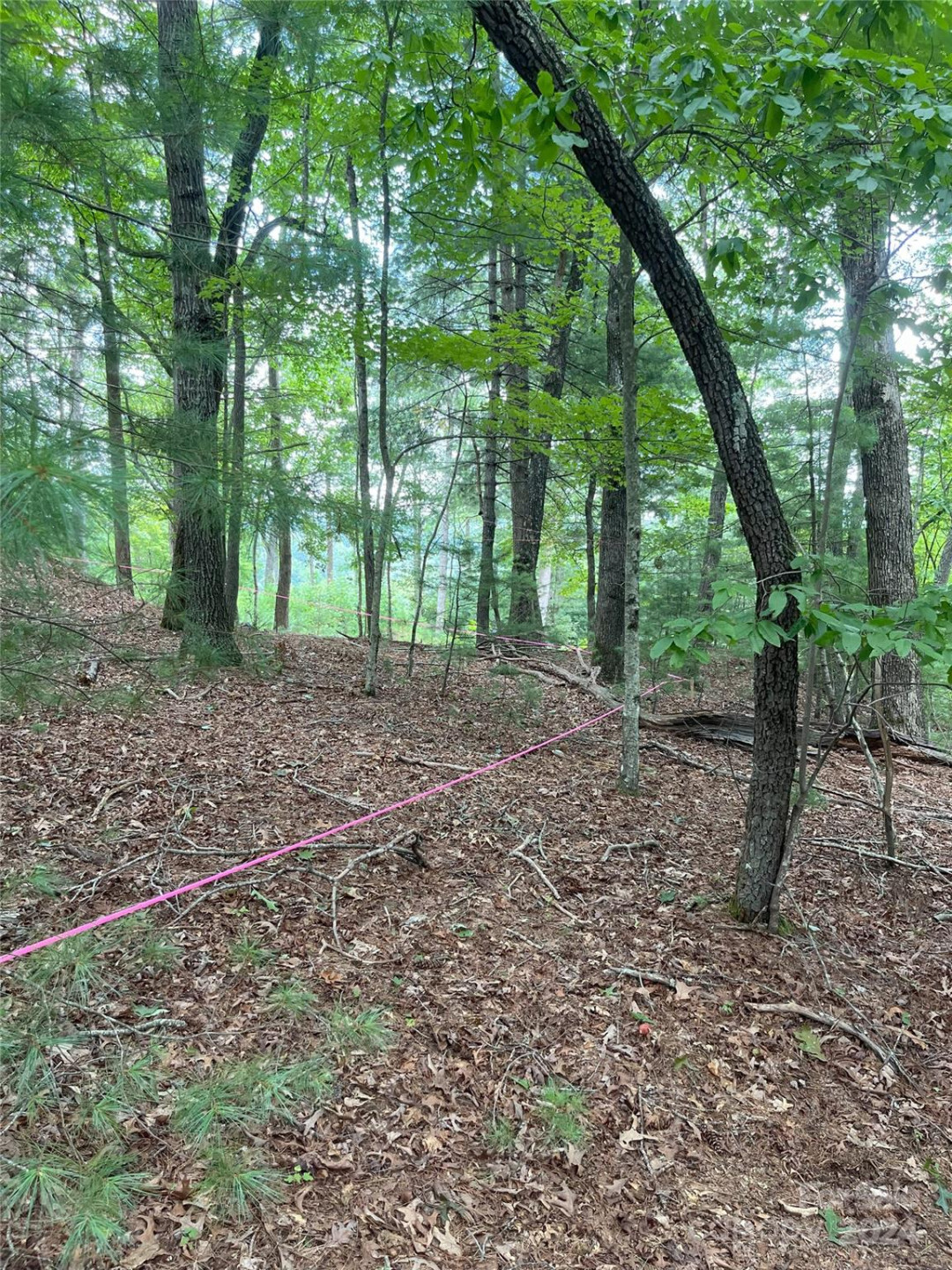 6 French Broad Overlook #Lot 2 - Photo 9