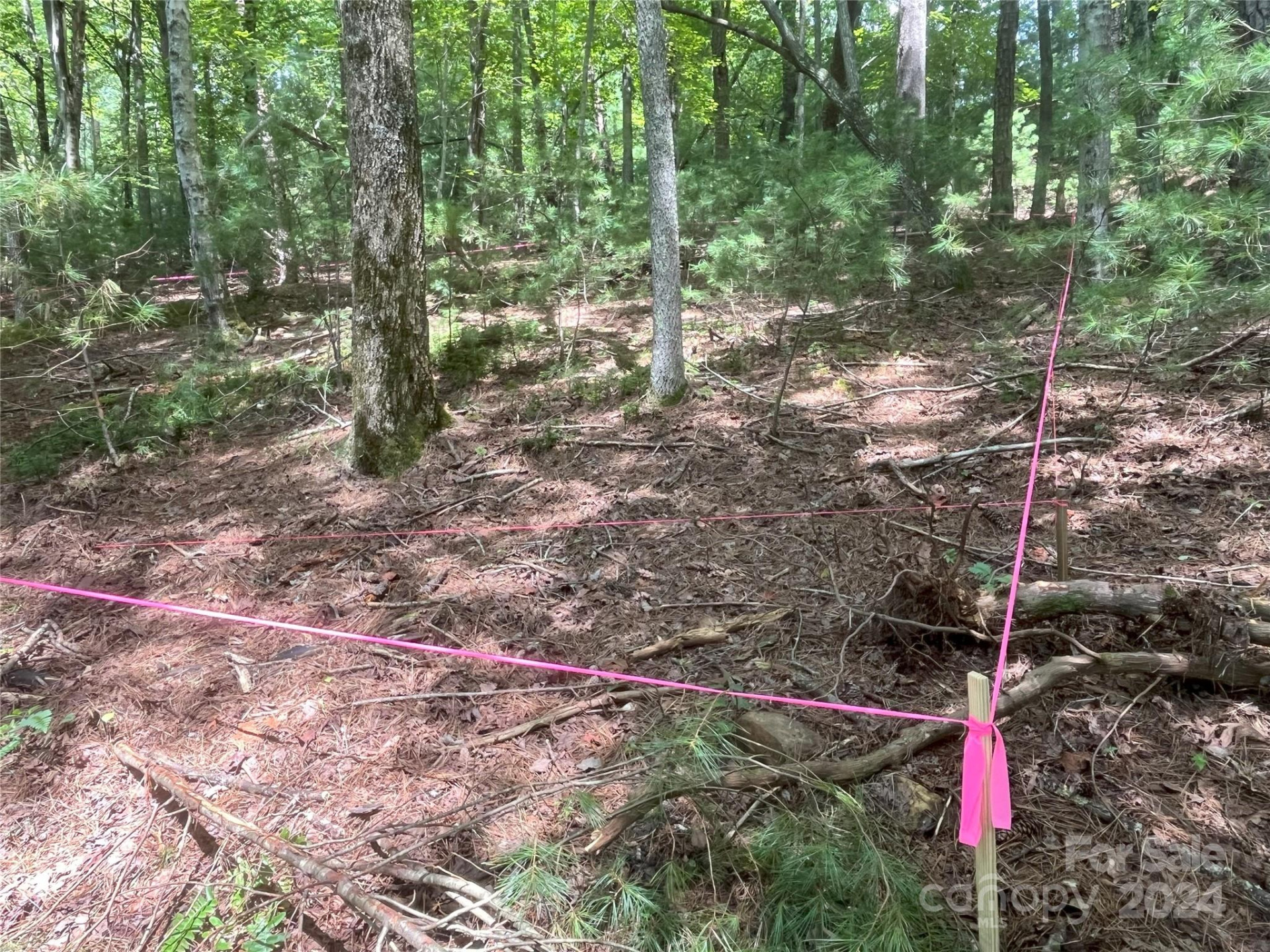 3 French Broad Overlook #Lot 1