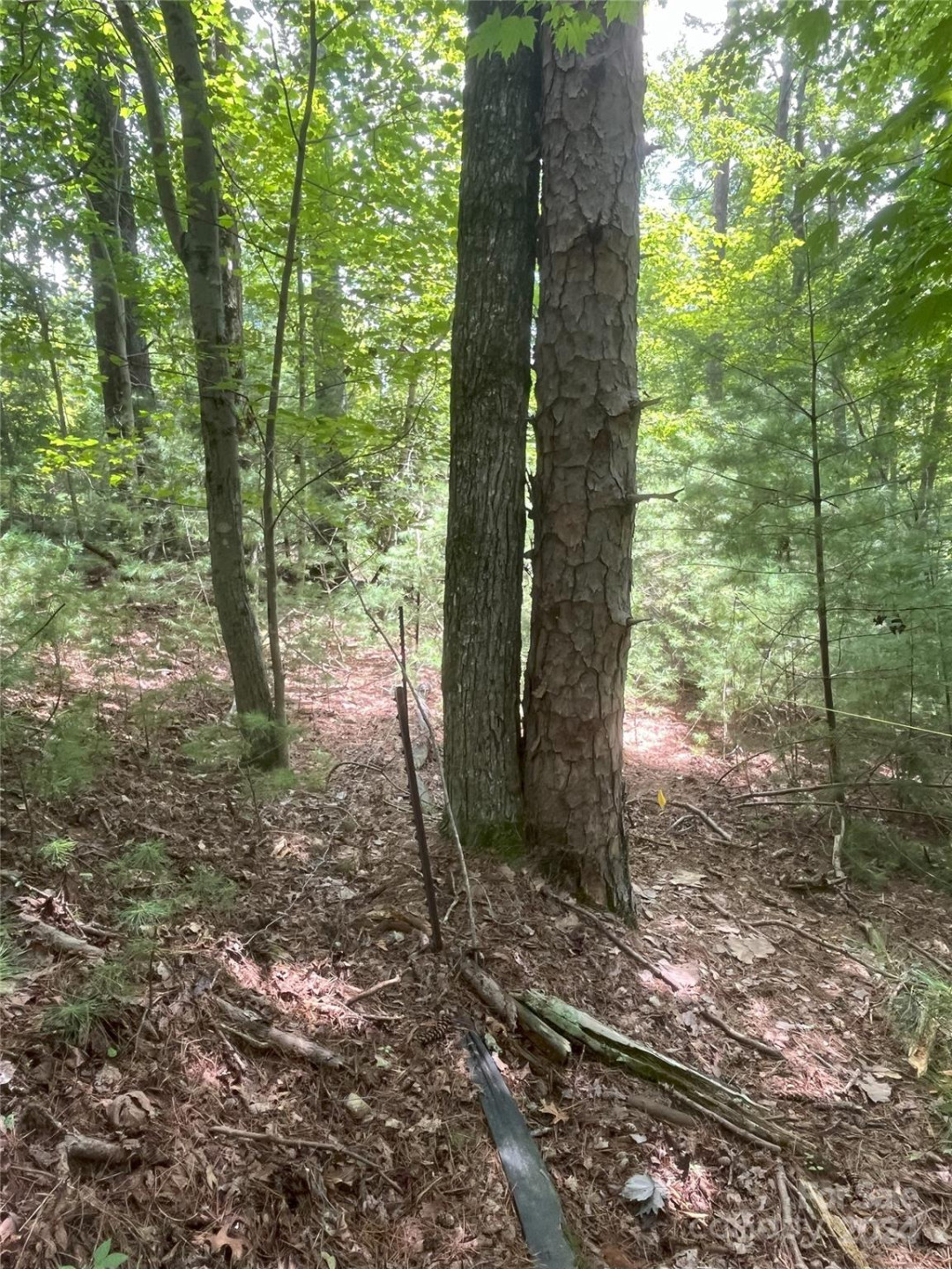 3 French Broad Overlook #Lot 1 - Photo 2