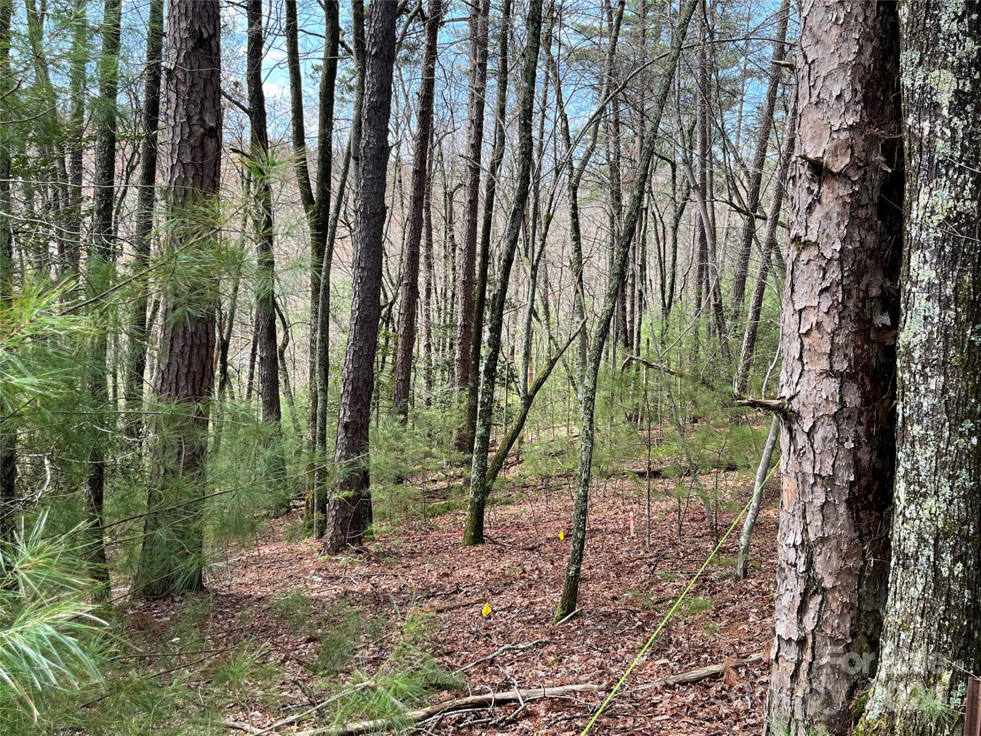 3 French Broad Overlook #Lot 1 - Photo 14