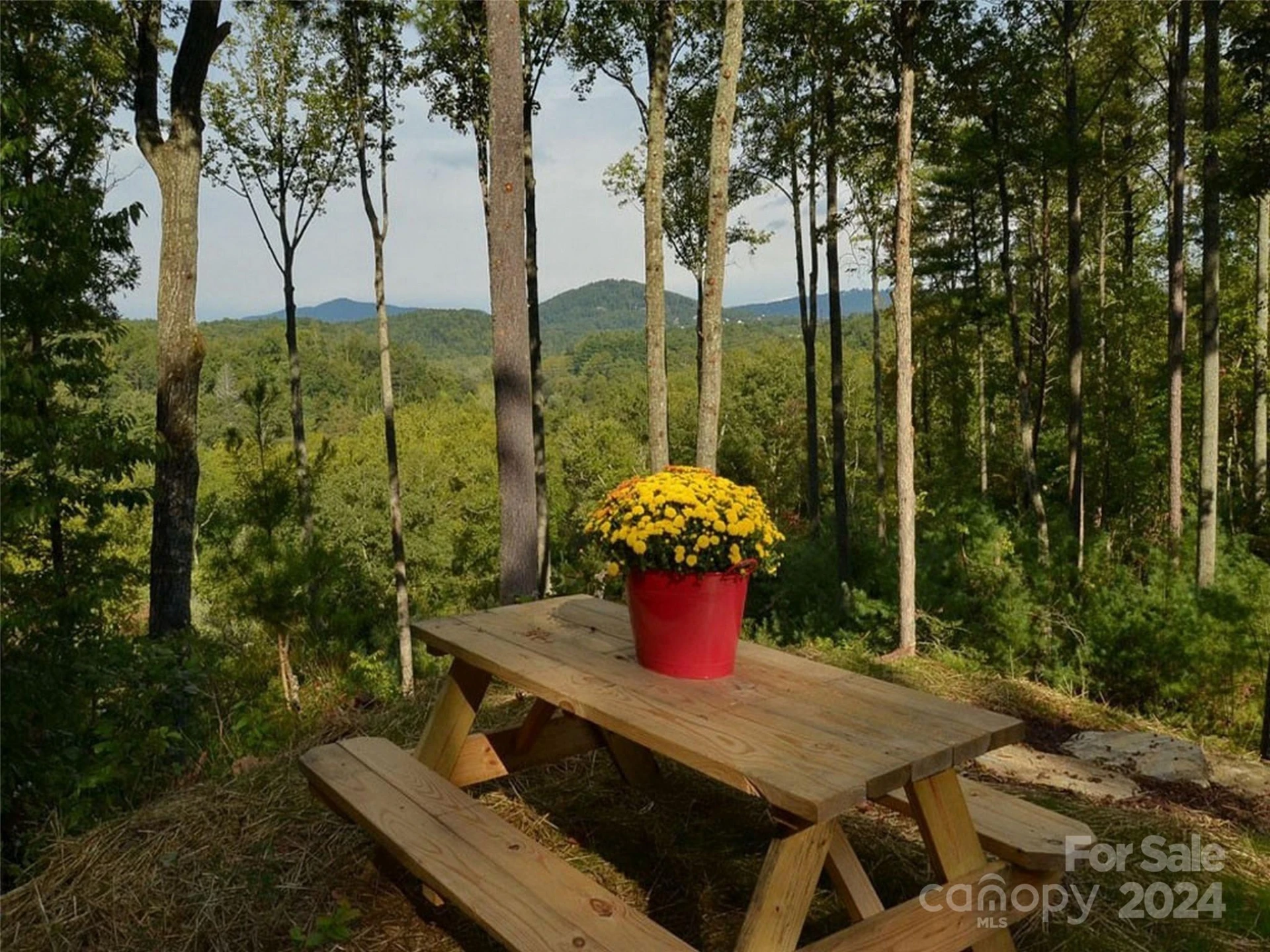 3 French Broad Overlook #Lot 1 - Photo 16