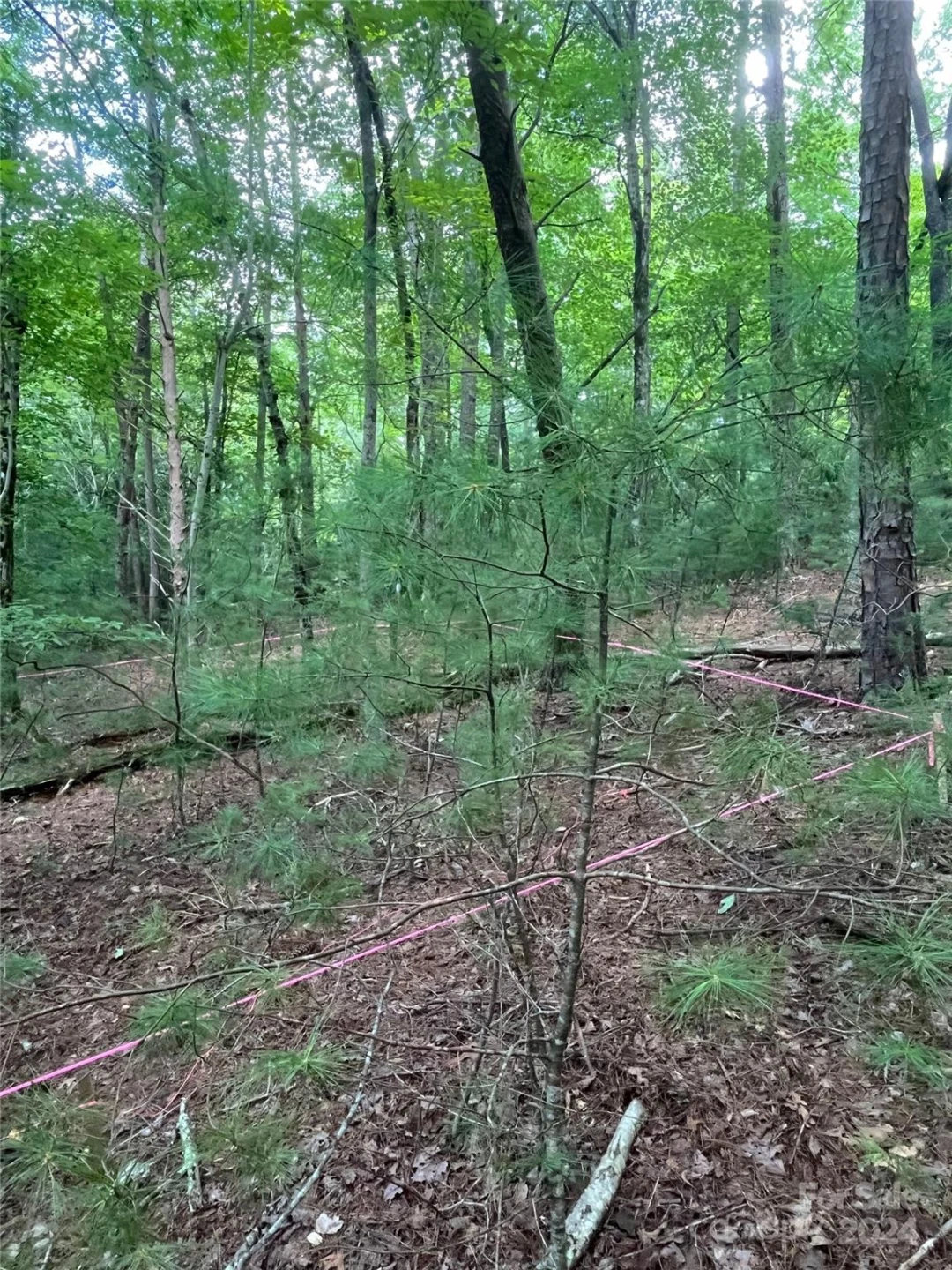 3 French Broad Overlook #Lot 1 - Photo 3