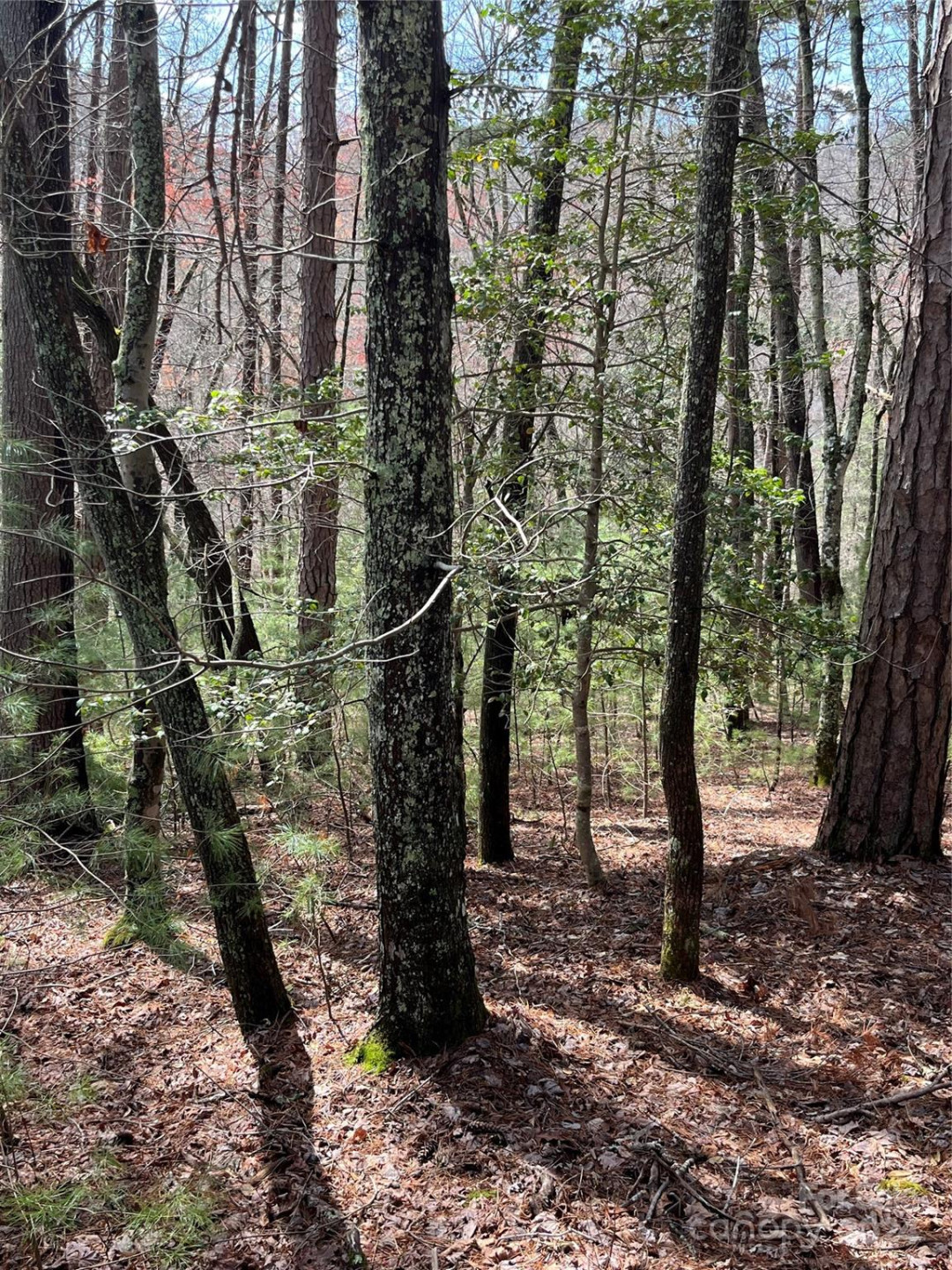 3 French Broad Overlook #Lot 1 - Photo 4