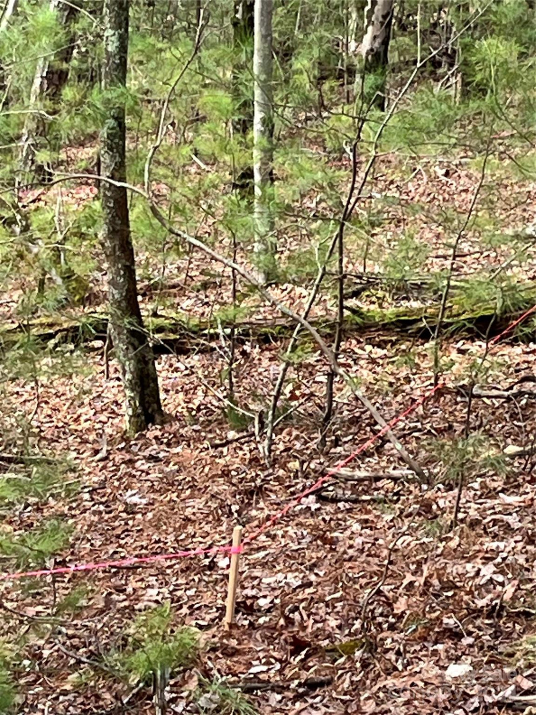 3 French Broad Overlook #Lot 1 - Photo 5