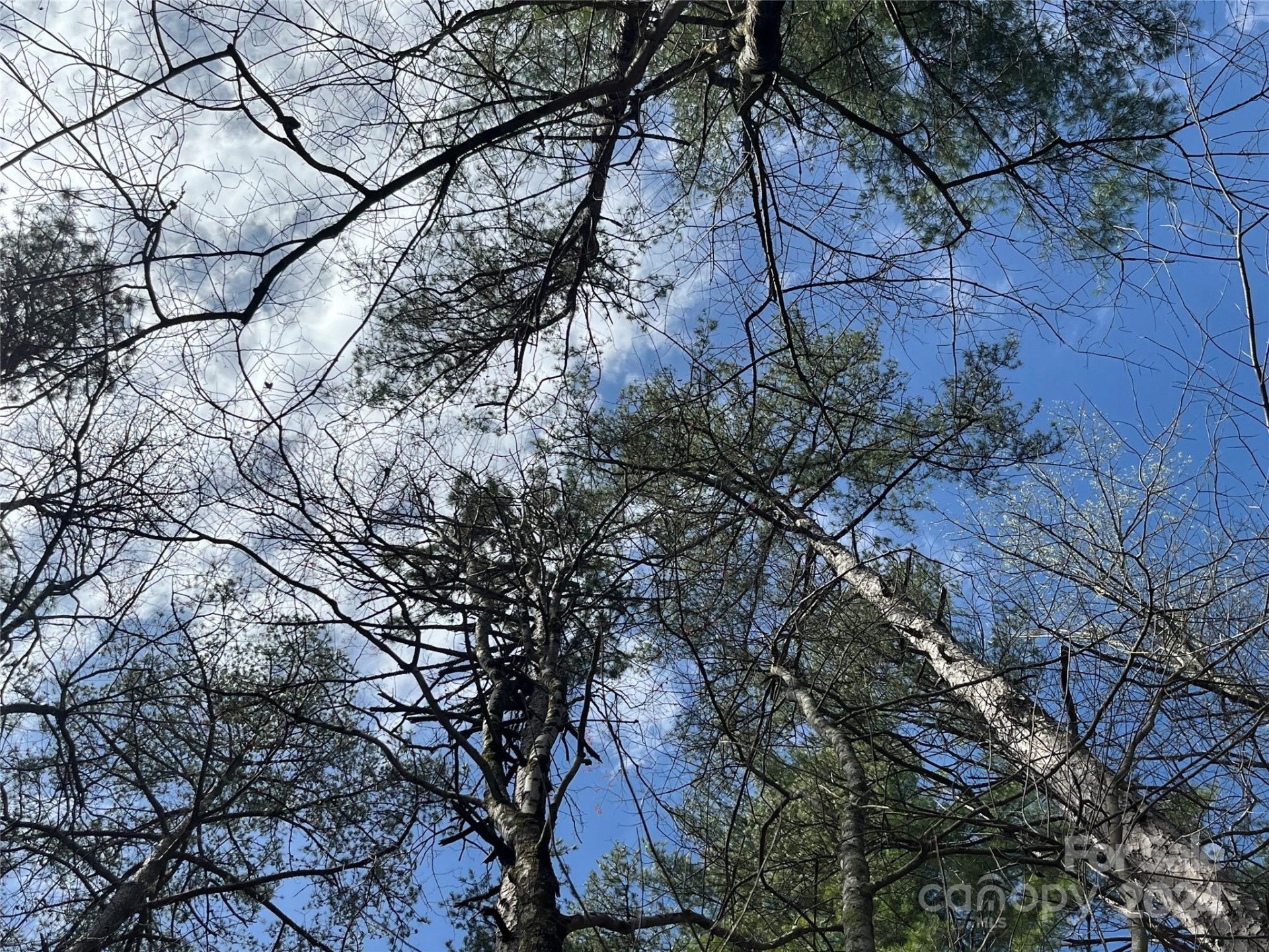 3 French Broad Overlook #Lot 1 - Photo 7