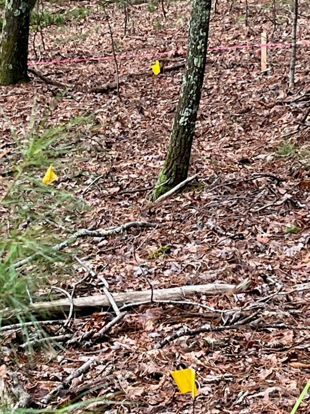 3 French Broad Overlook #Lot 1 - Photo 8