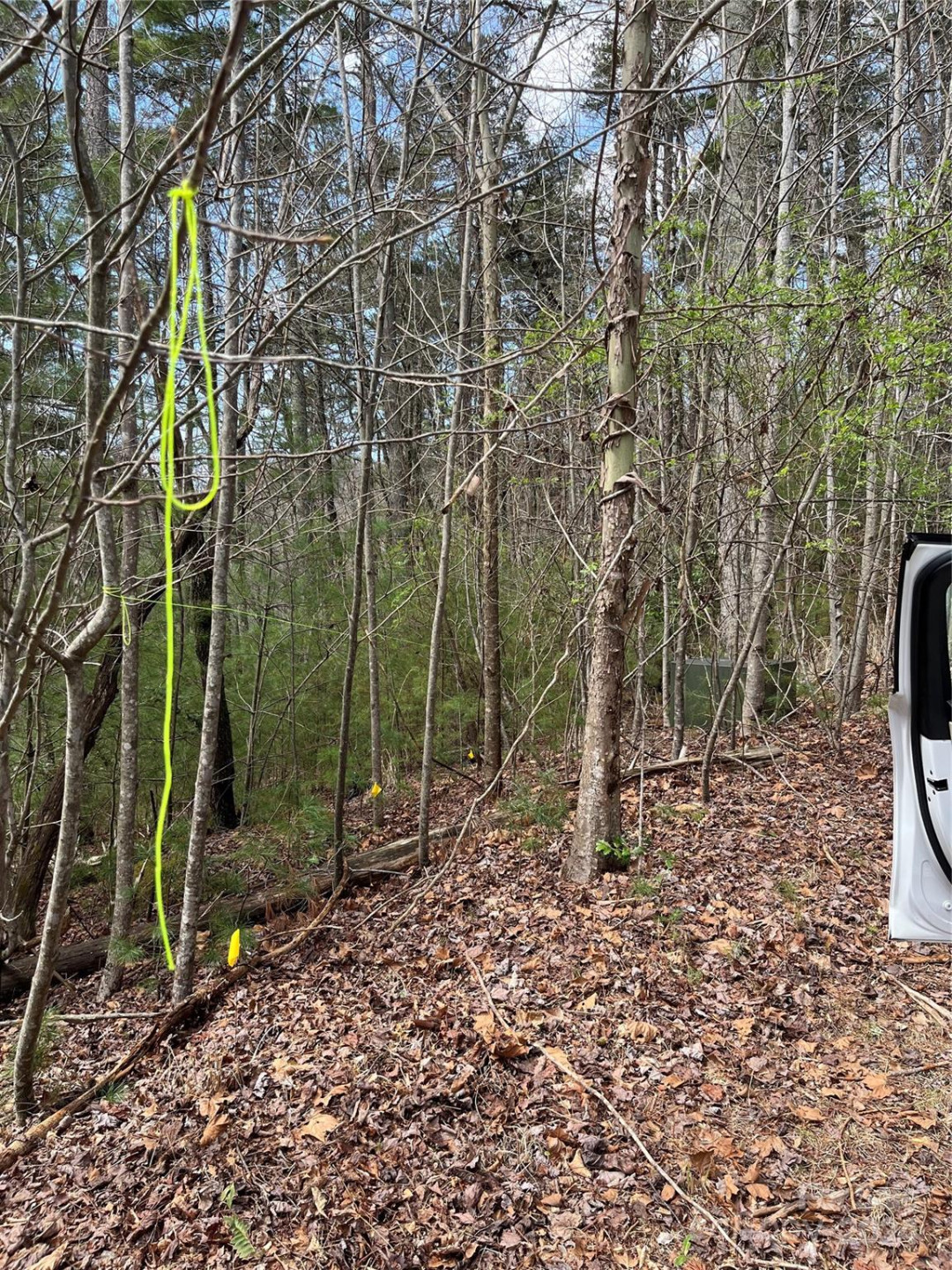 3 French Broad Overlook #Lot 1 - Photo 9