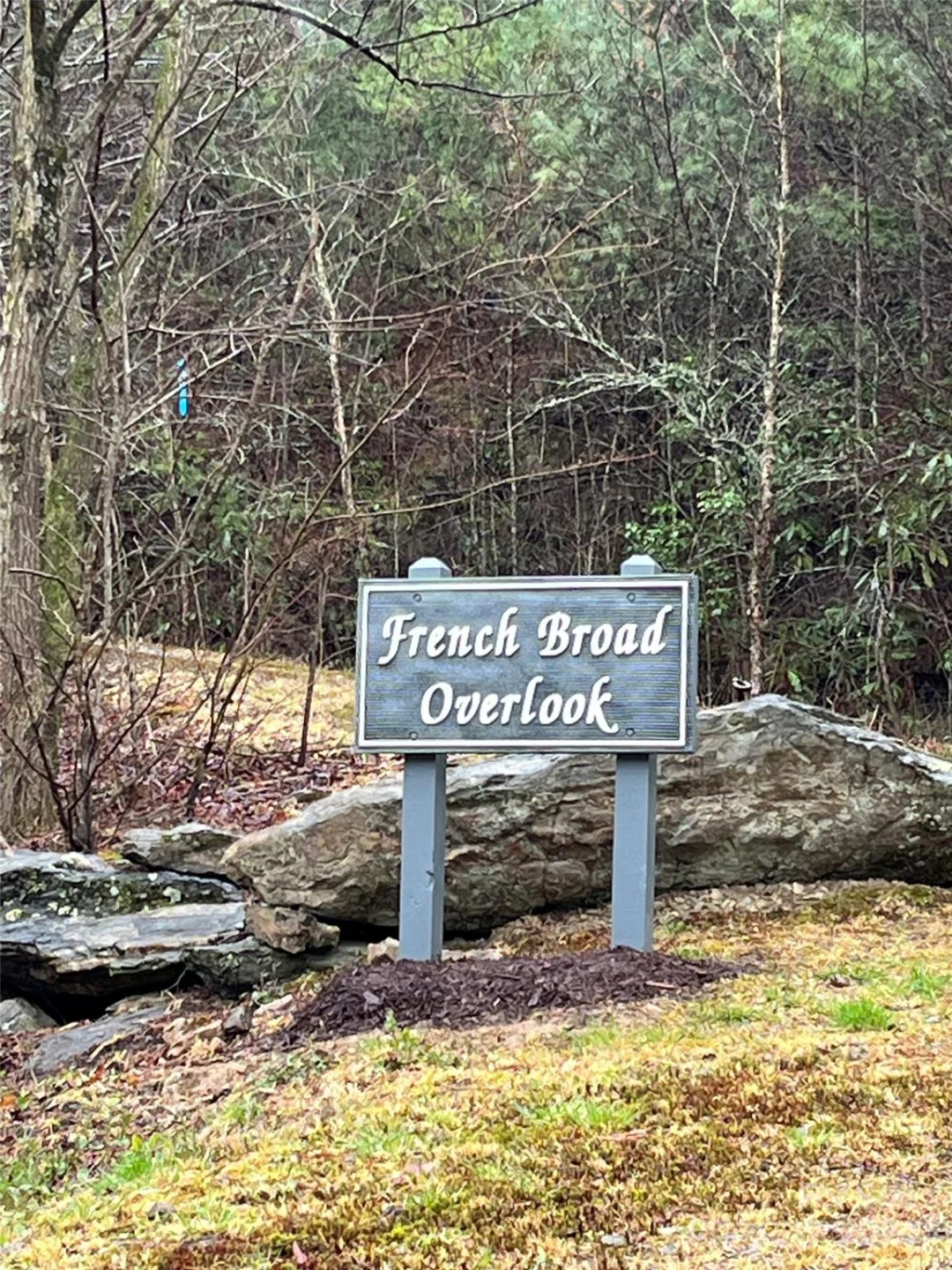 3 French Broad Overlook #Lot 1 - Photo 10