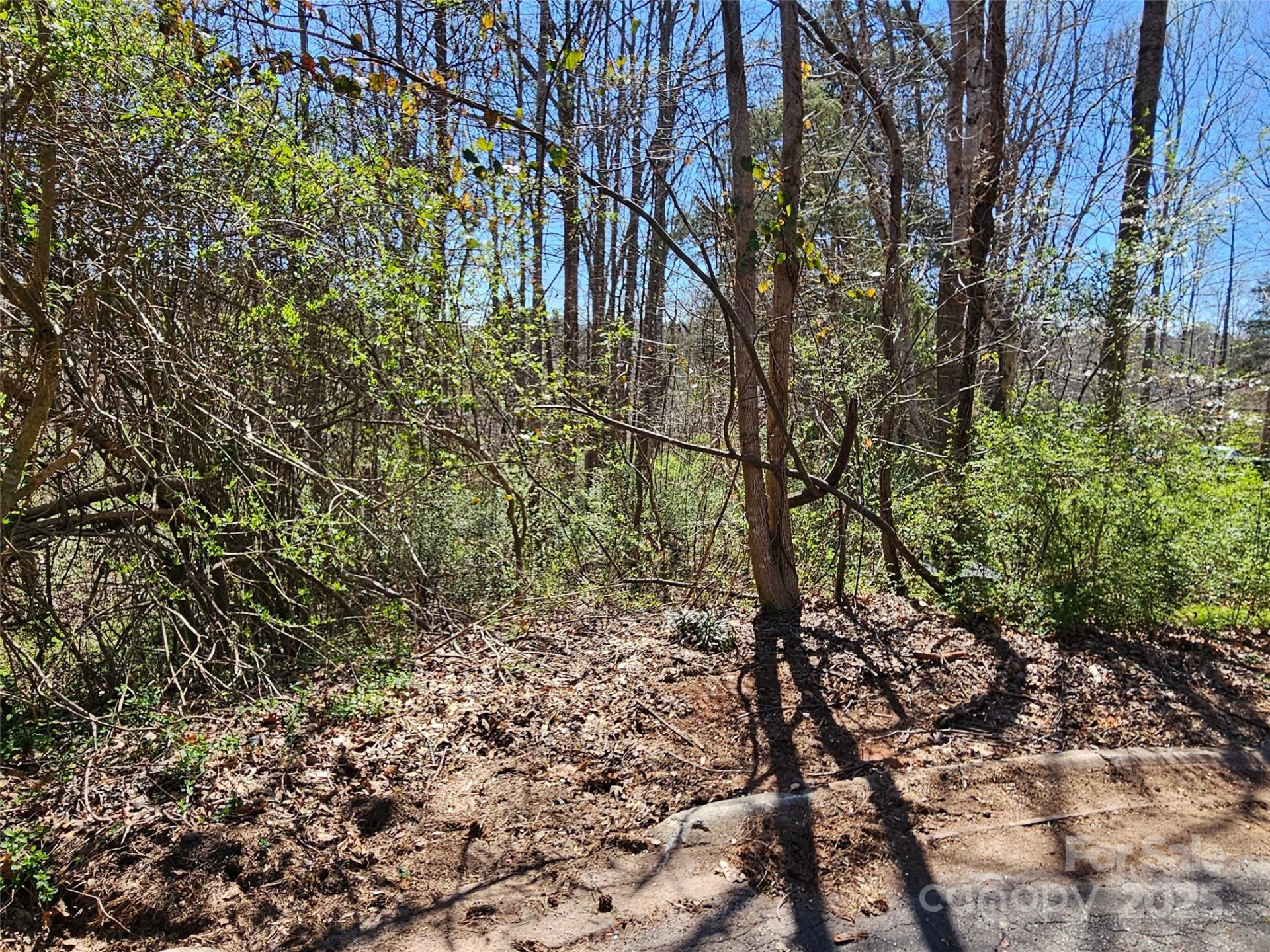 0 Gray Court #56 & 55