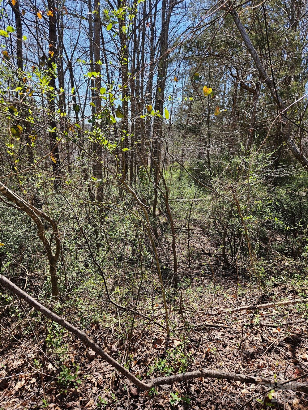 0 Gray Court #56 & 55 - Photo 5