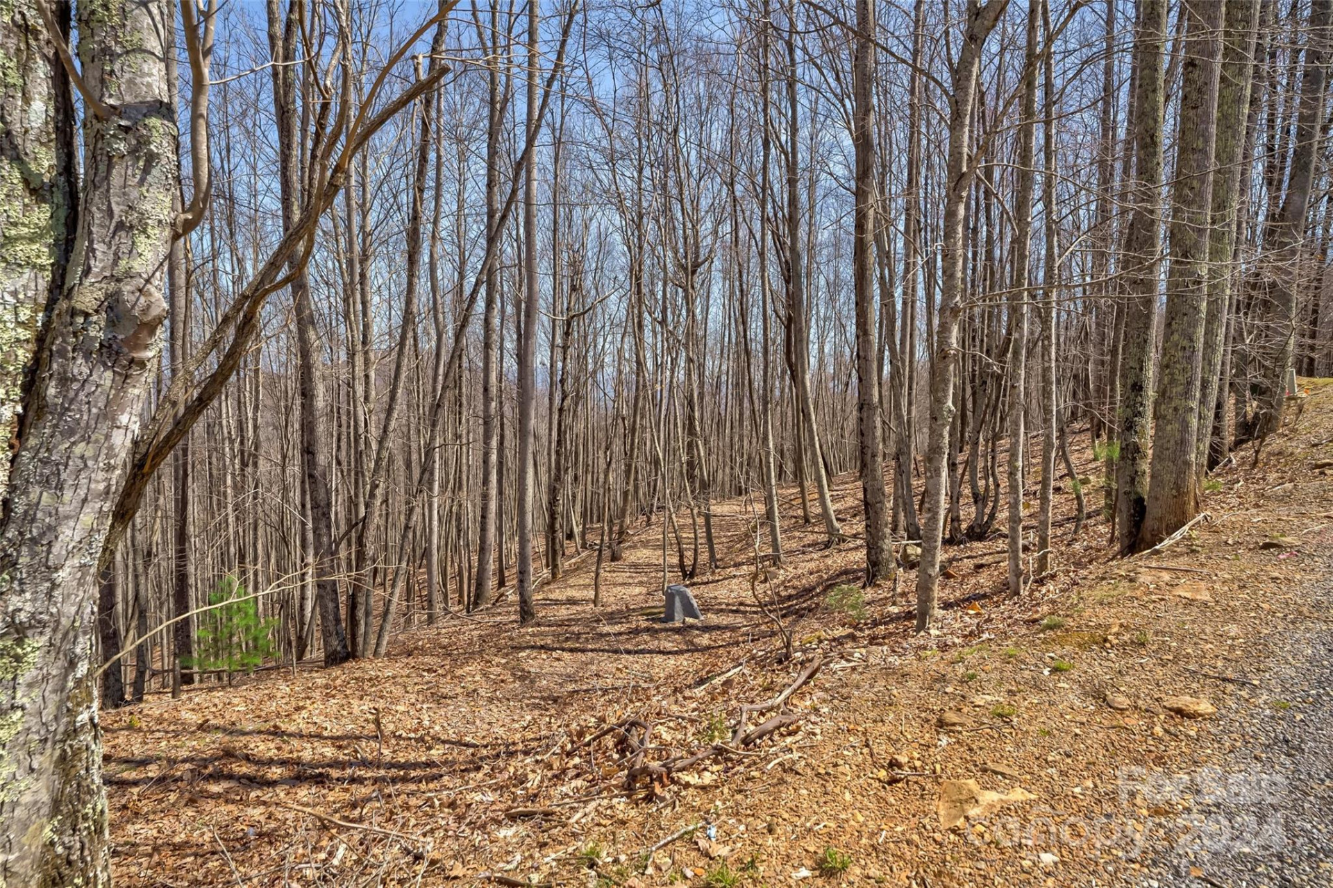 1316 Double Knob Drive - Photo 13