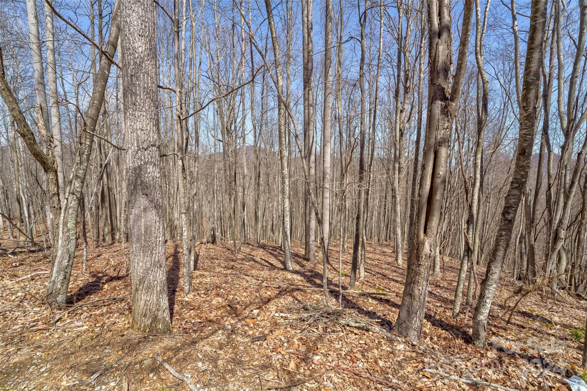 1316 Double Knob Drive - Photo 15