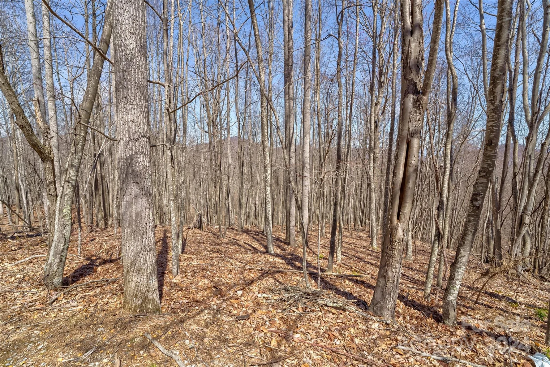 1316 Double Knob Drive - Photo 15