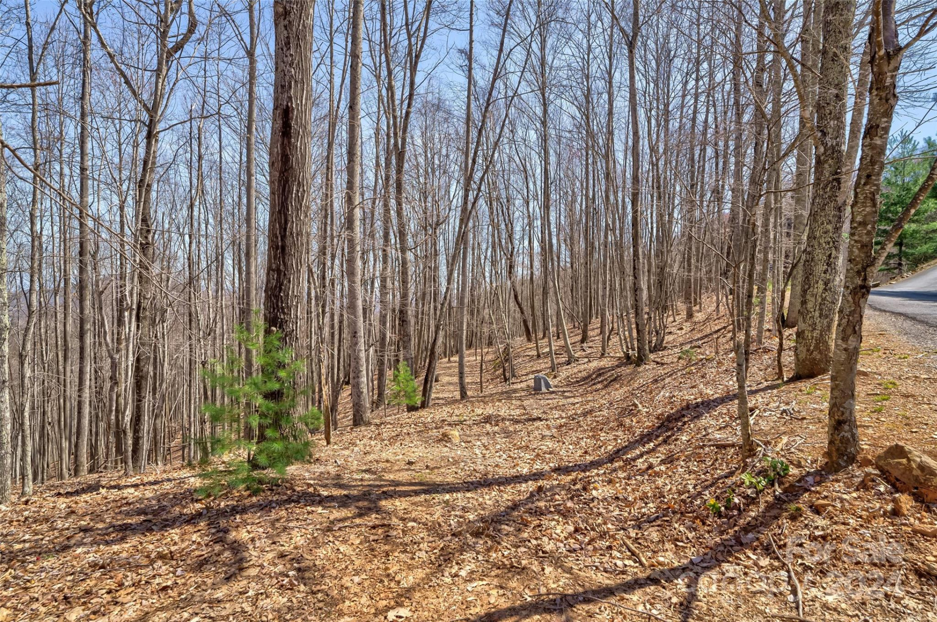 1316 Double Knob Drive - Photo 16