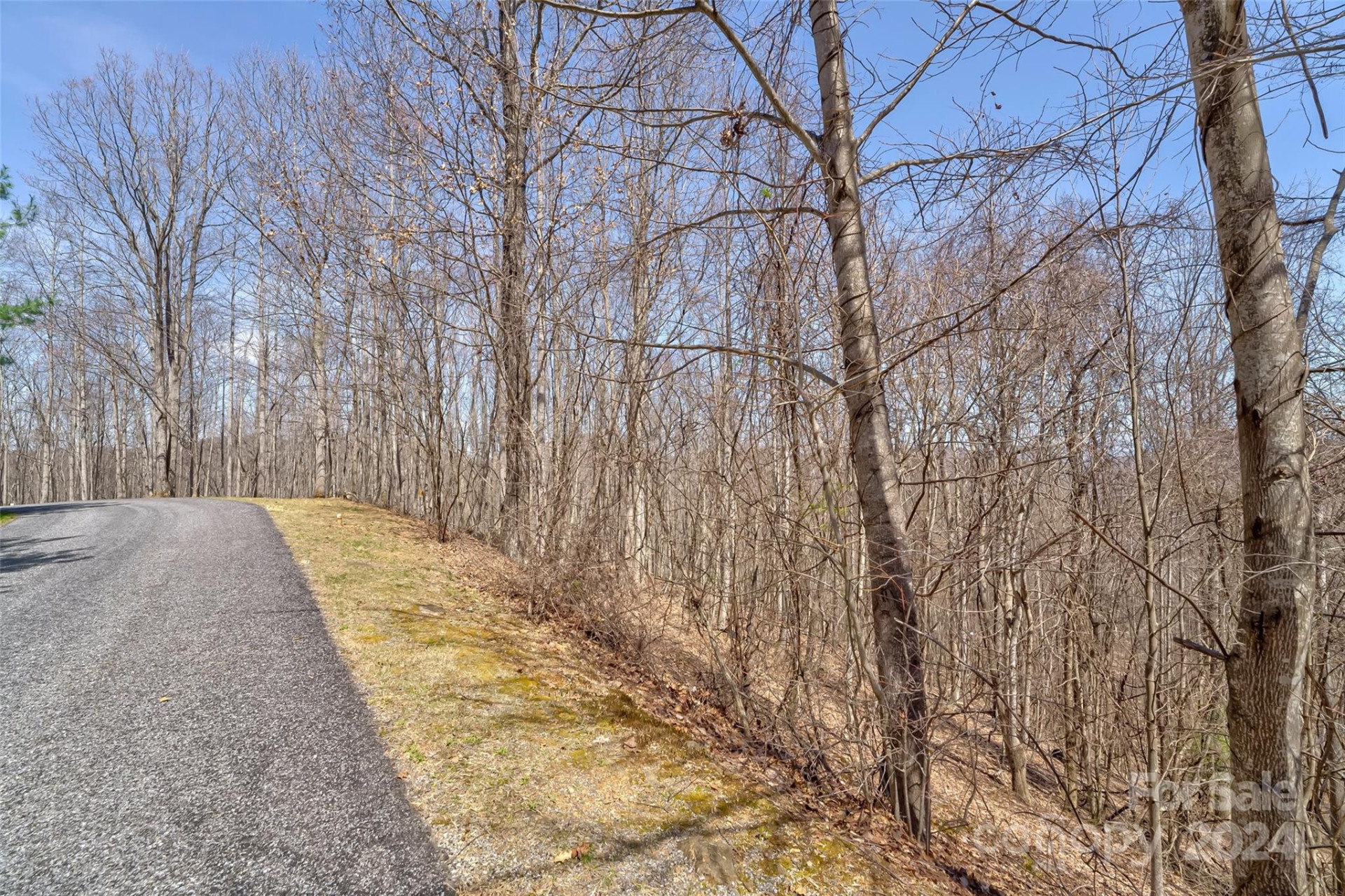 1316 Double Knob Drive - Photo 17