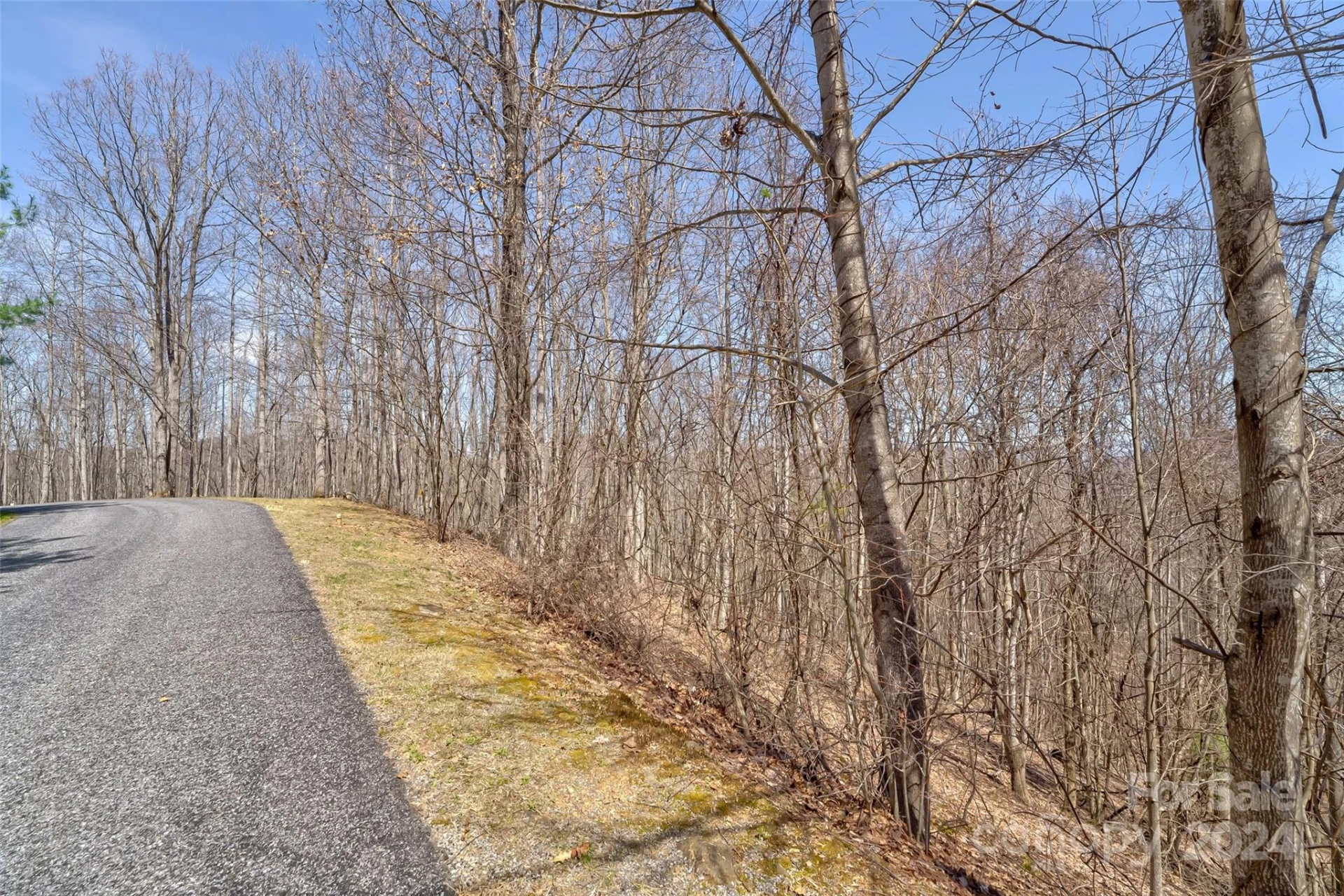1316 Double Knob Drive - Photo 17