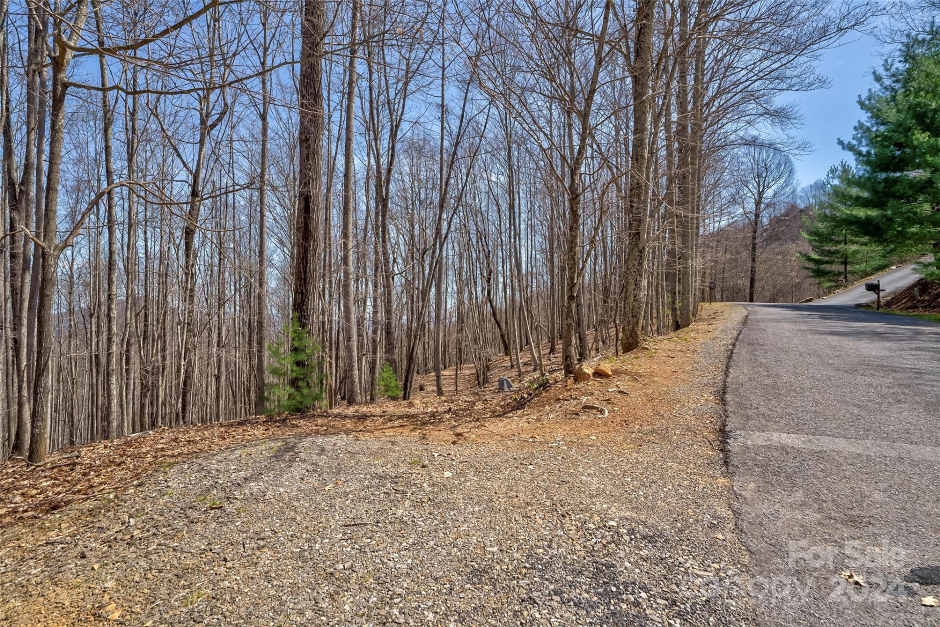 1316 Double Knob Drive - Photo 18