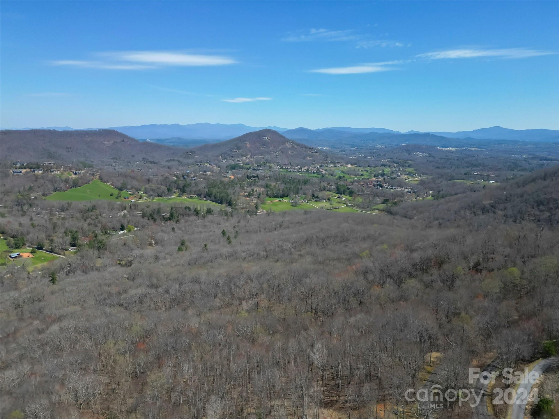 1316 Double Knob Drive - Photo 3