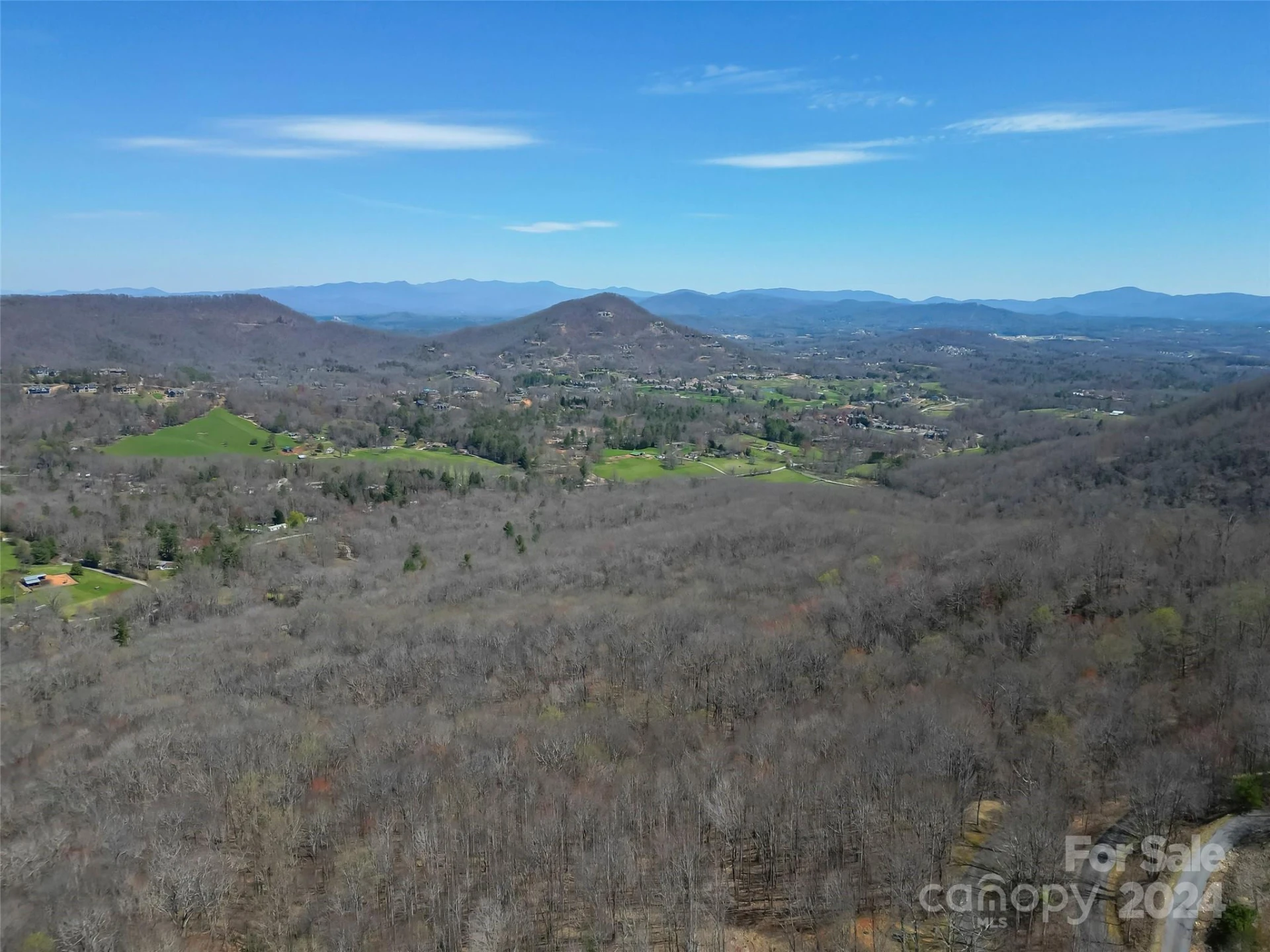 1316 Double Knob Drive - Photo 3