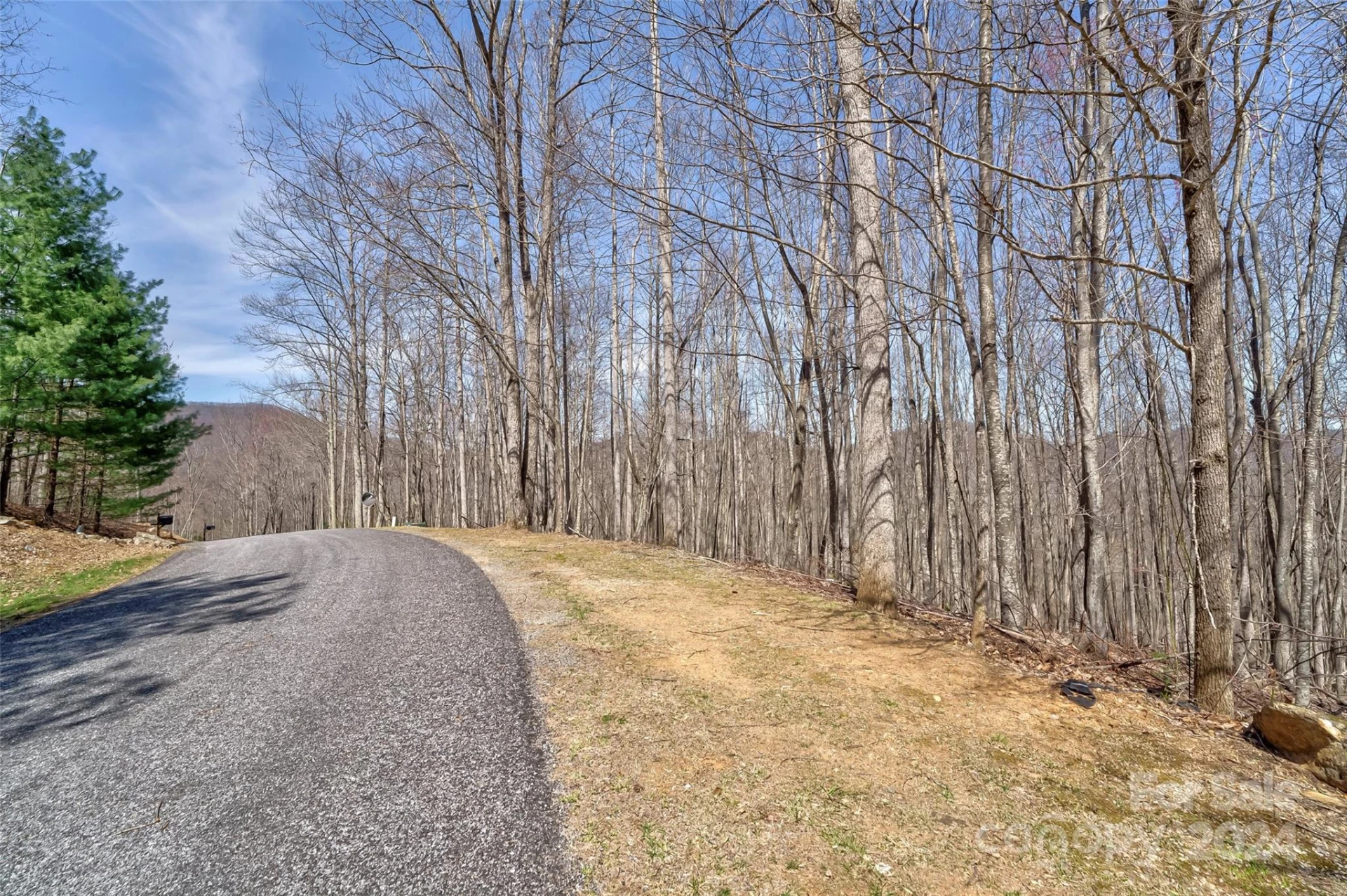 1316 Double Knob Drive - Photo 4