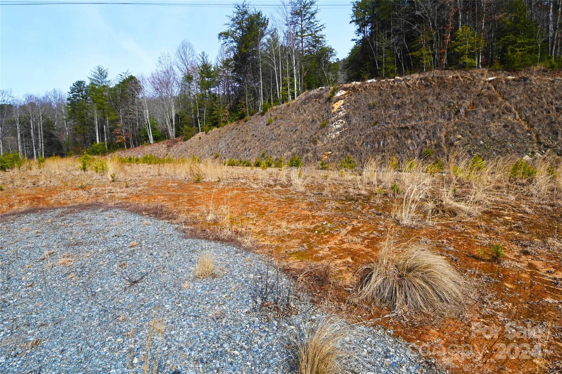 000 Hwy 19 W Highway #Tract 1 - Photo 4