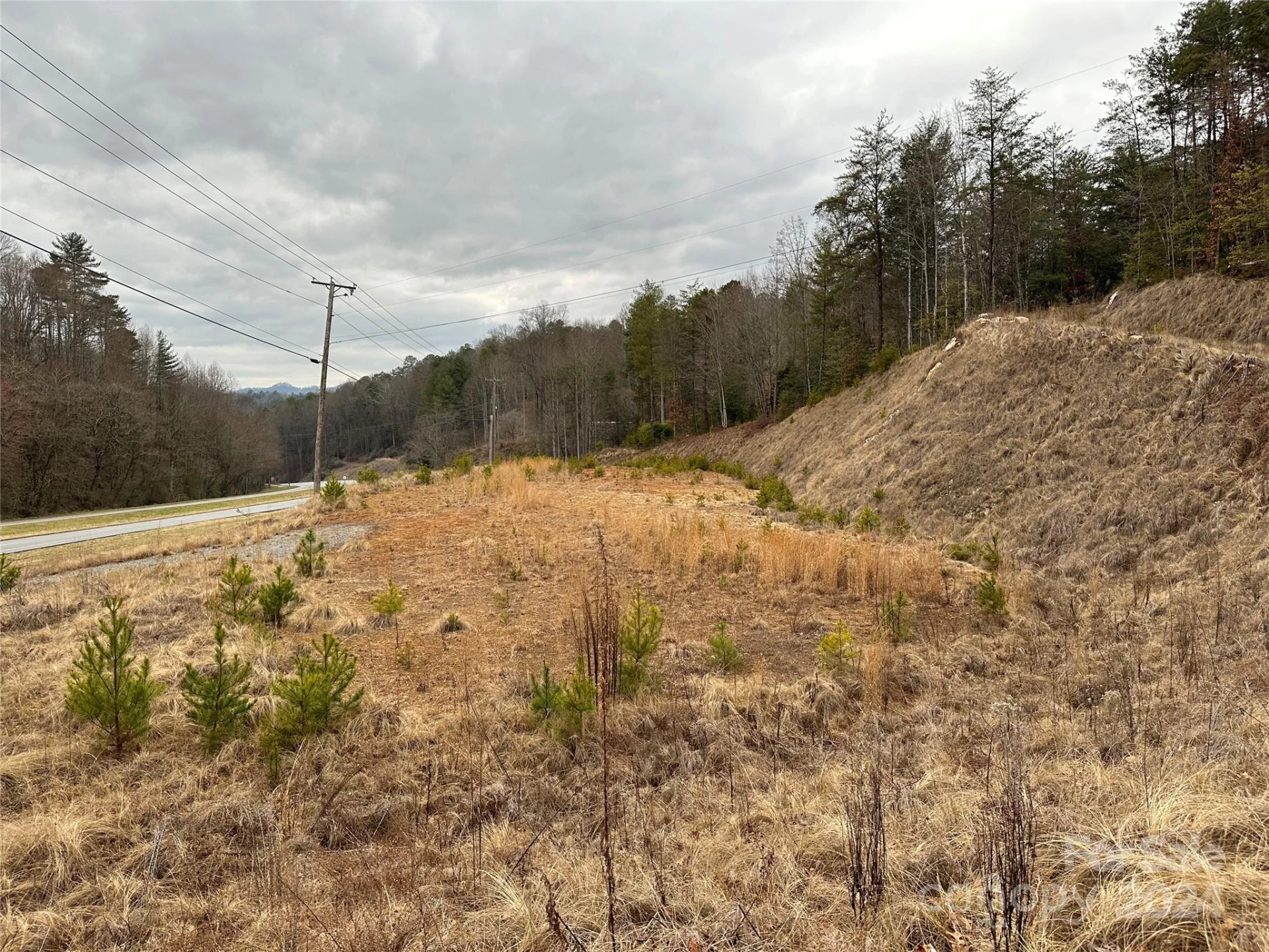 000 Hwy 19 W Highway #Tract 1 - Photo 6