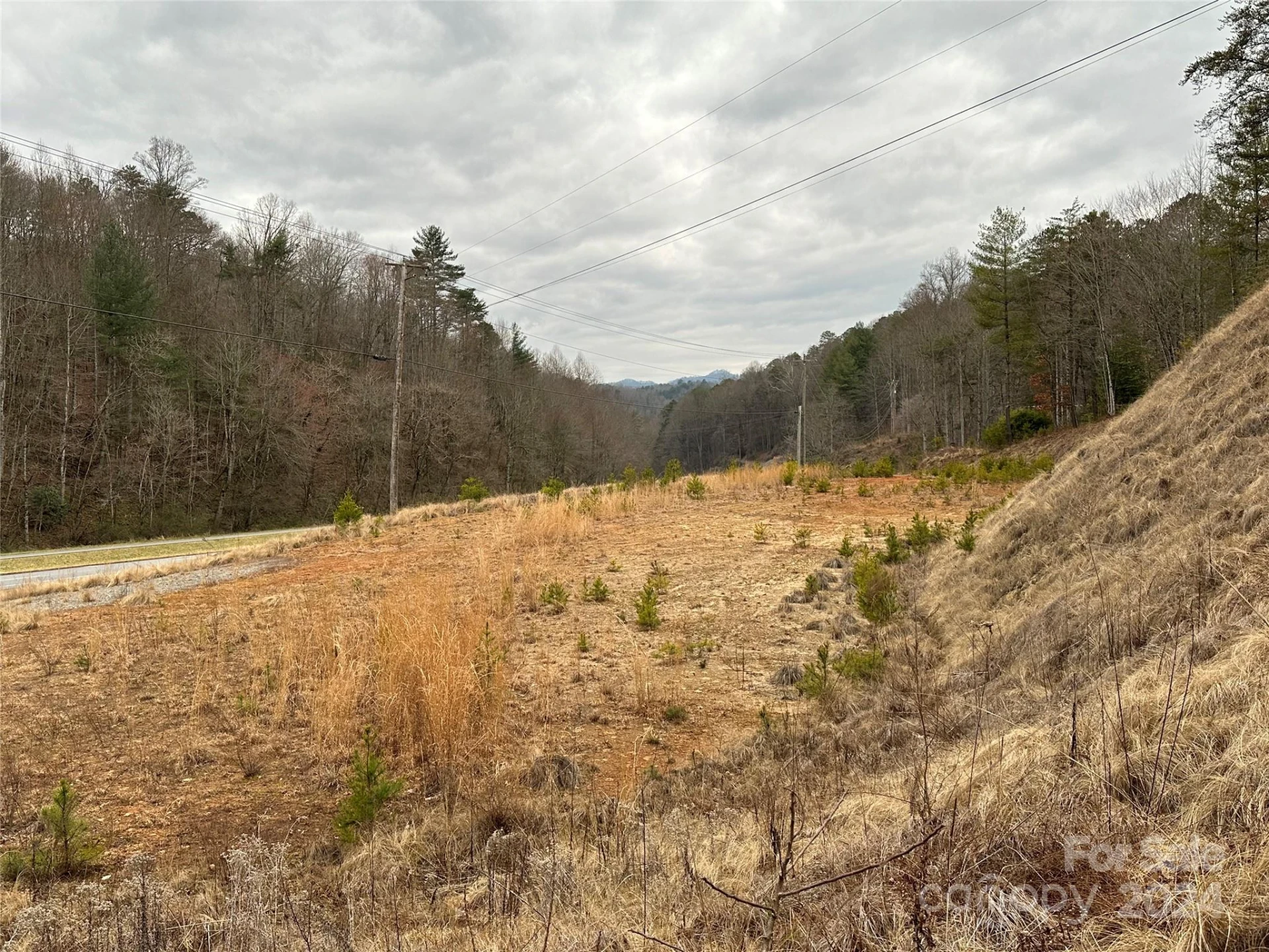 000 Hwy 19 W Highway #Tract 1 - Photo 8