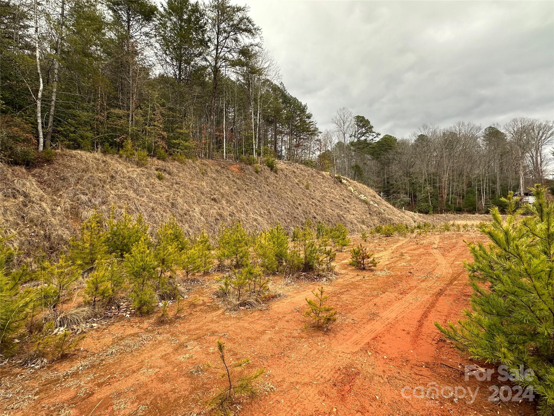 000 Hwy 19 W Highway #Tract 1 - Photo 10