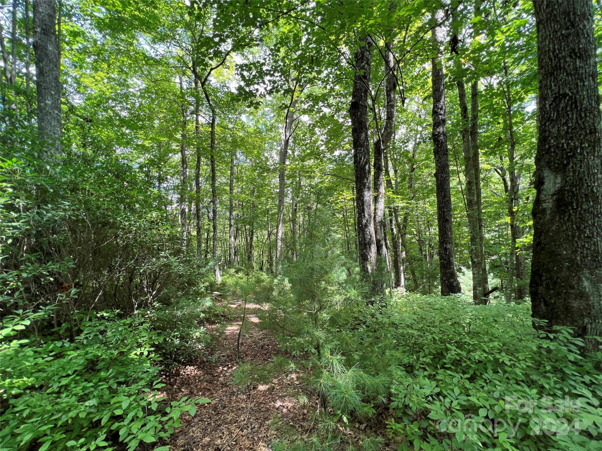 0000 Courtney Court - Photo 3