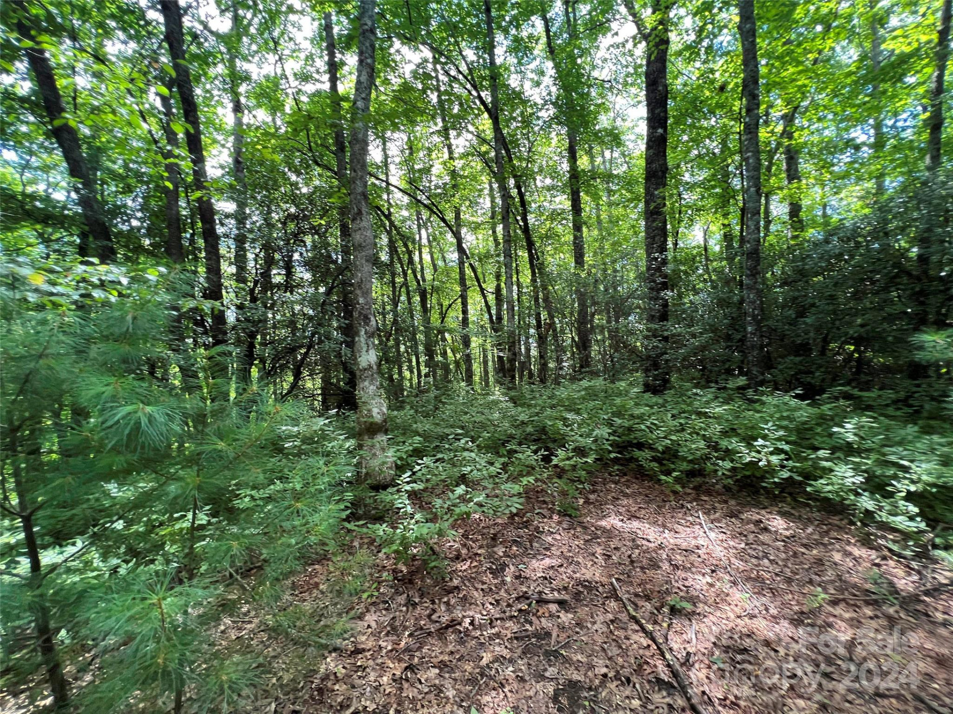 0000 Courtney Court - Photo 4