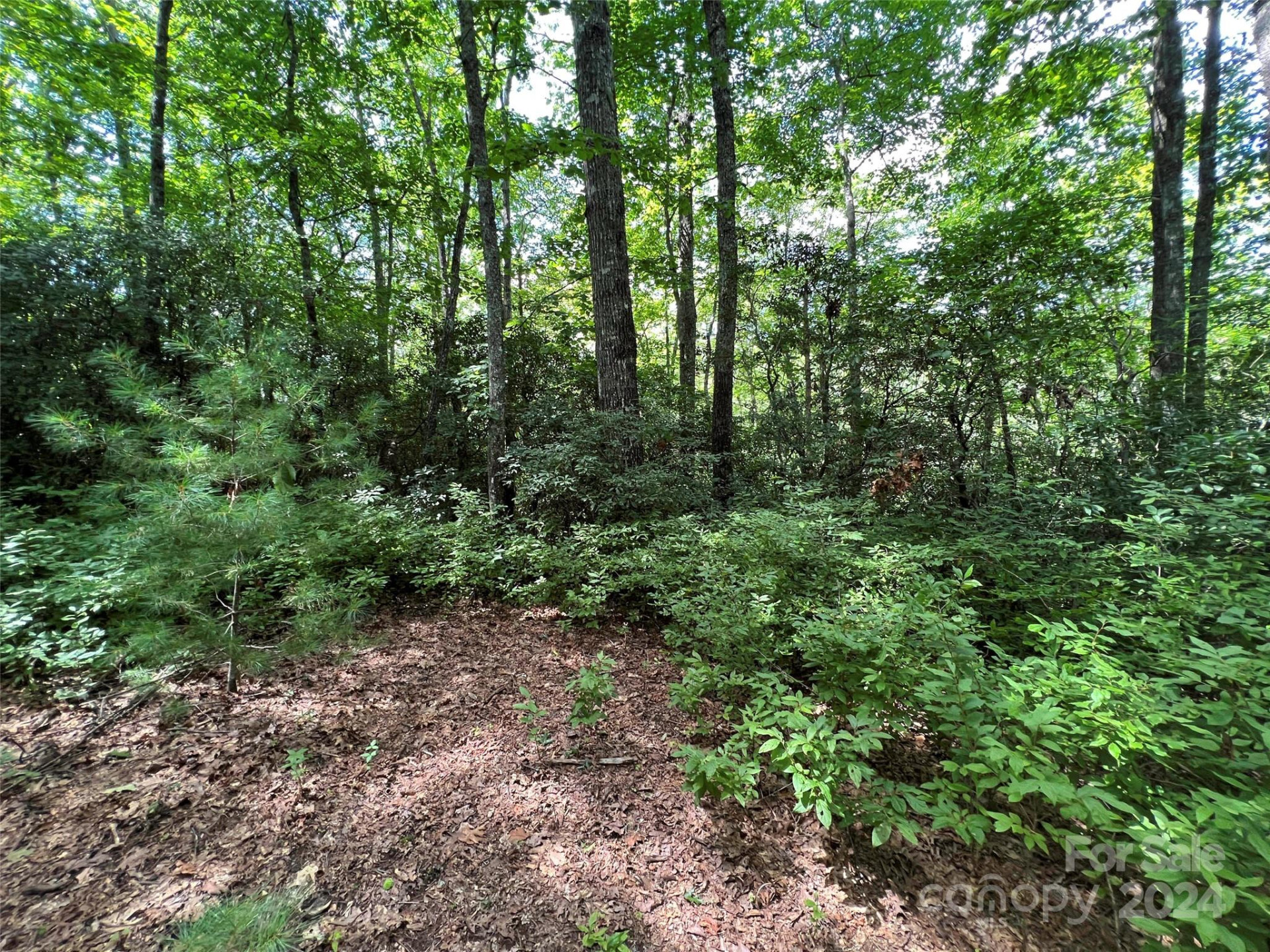 0000 Courtney Court - Photo 5