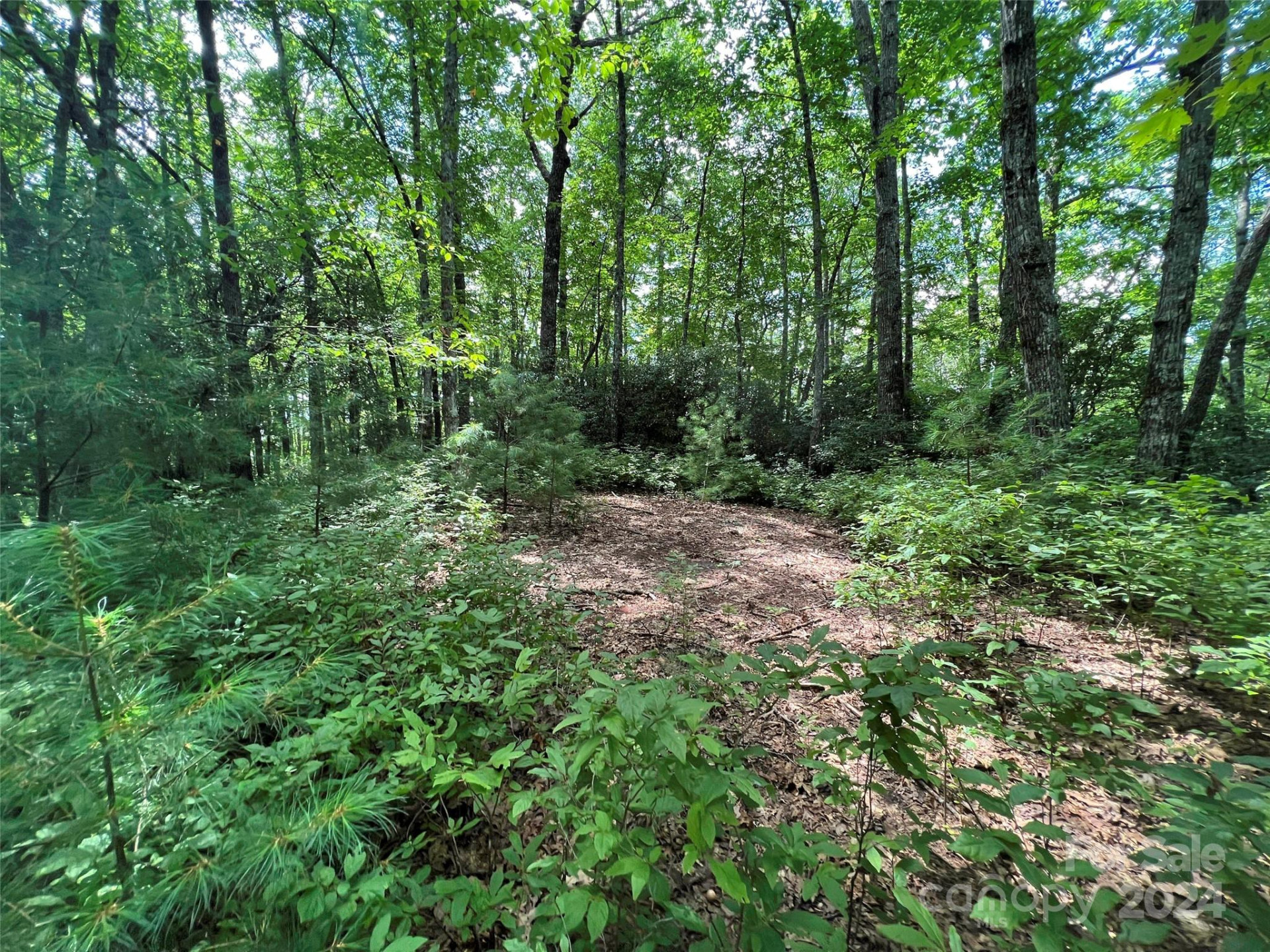 0000 Courtney Court - Photo 6