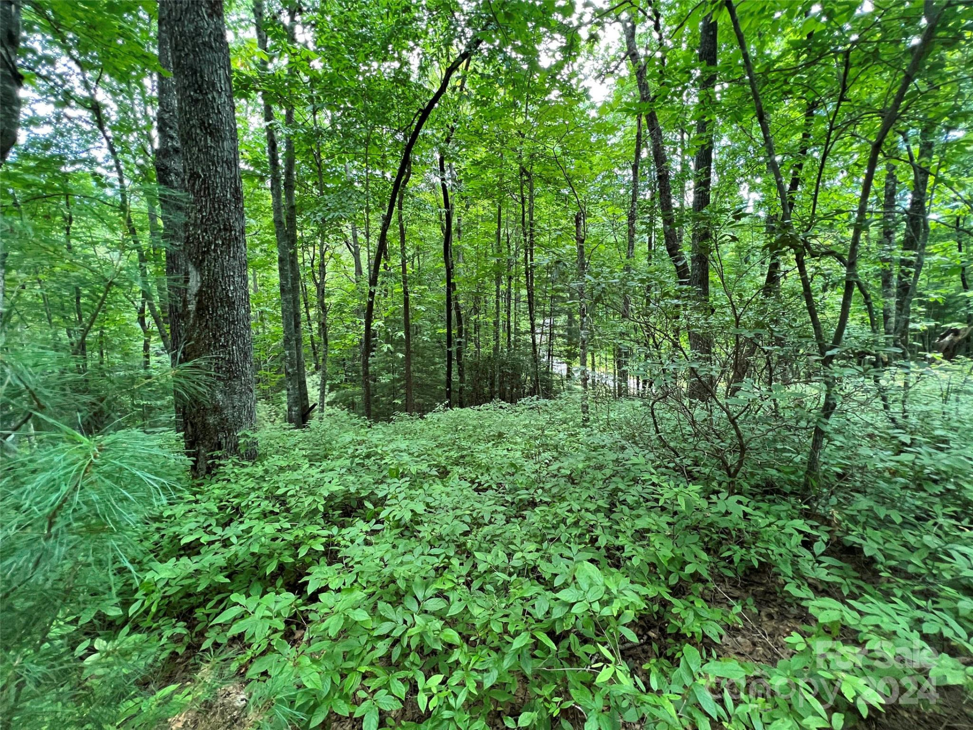 0000 Courtney Court - Photo 7