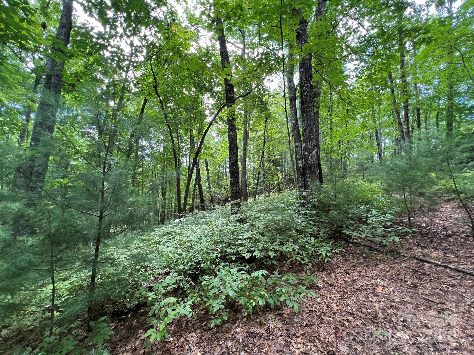 0000 Courtney Court - Photo 8