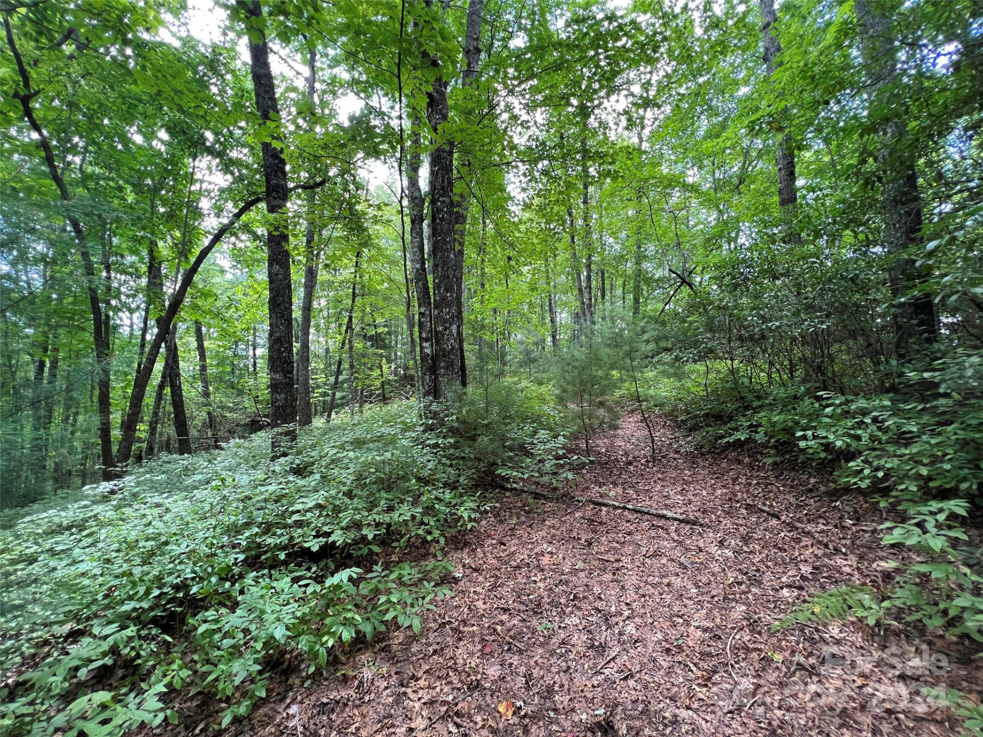 0000 Courtney Court - Photo 9