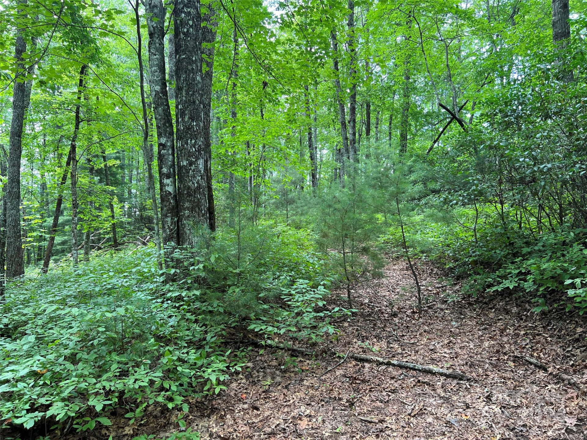 0000 Courtney Court - Photo 10