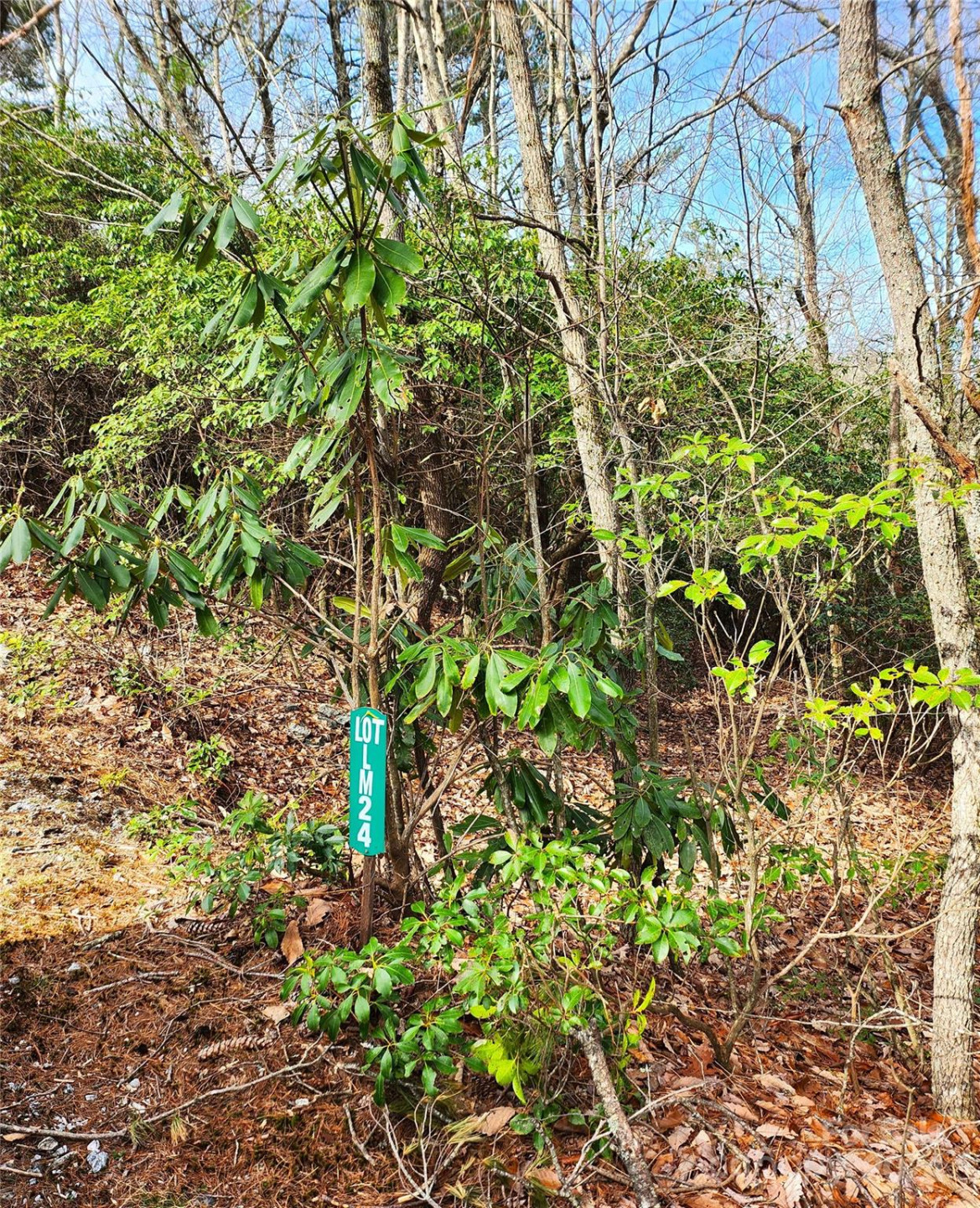 Lot 24 Lakeside Trail #24 - Photo 6