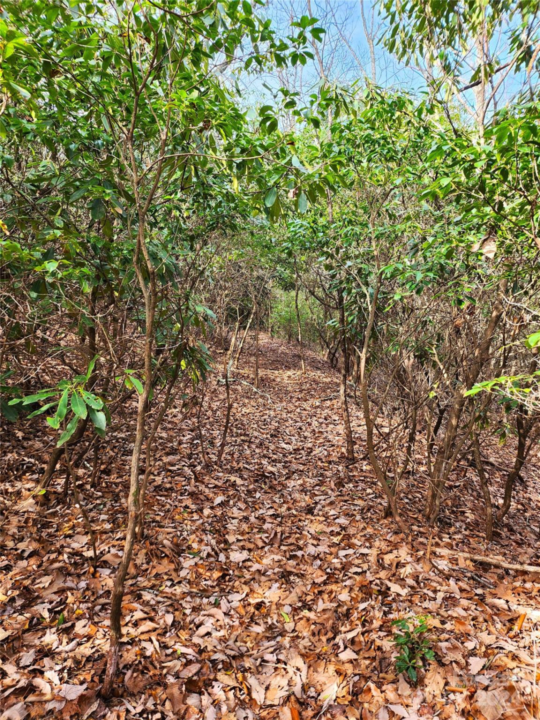 Lot 24 Lakeside Trail #24 - Photo 7