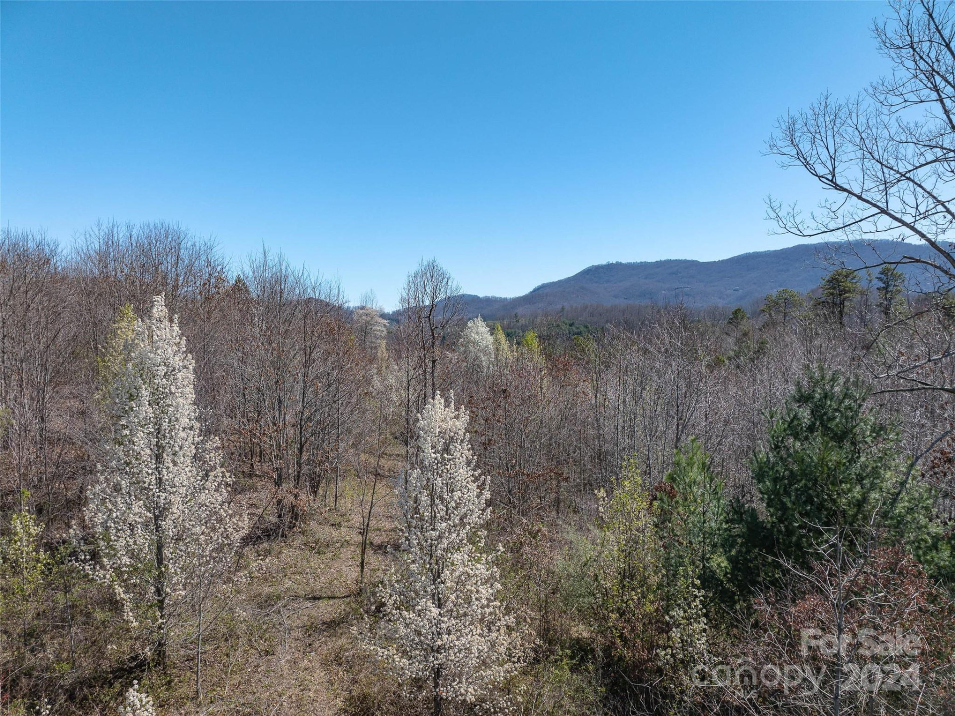 00 Woodland Drive - Photo 6