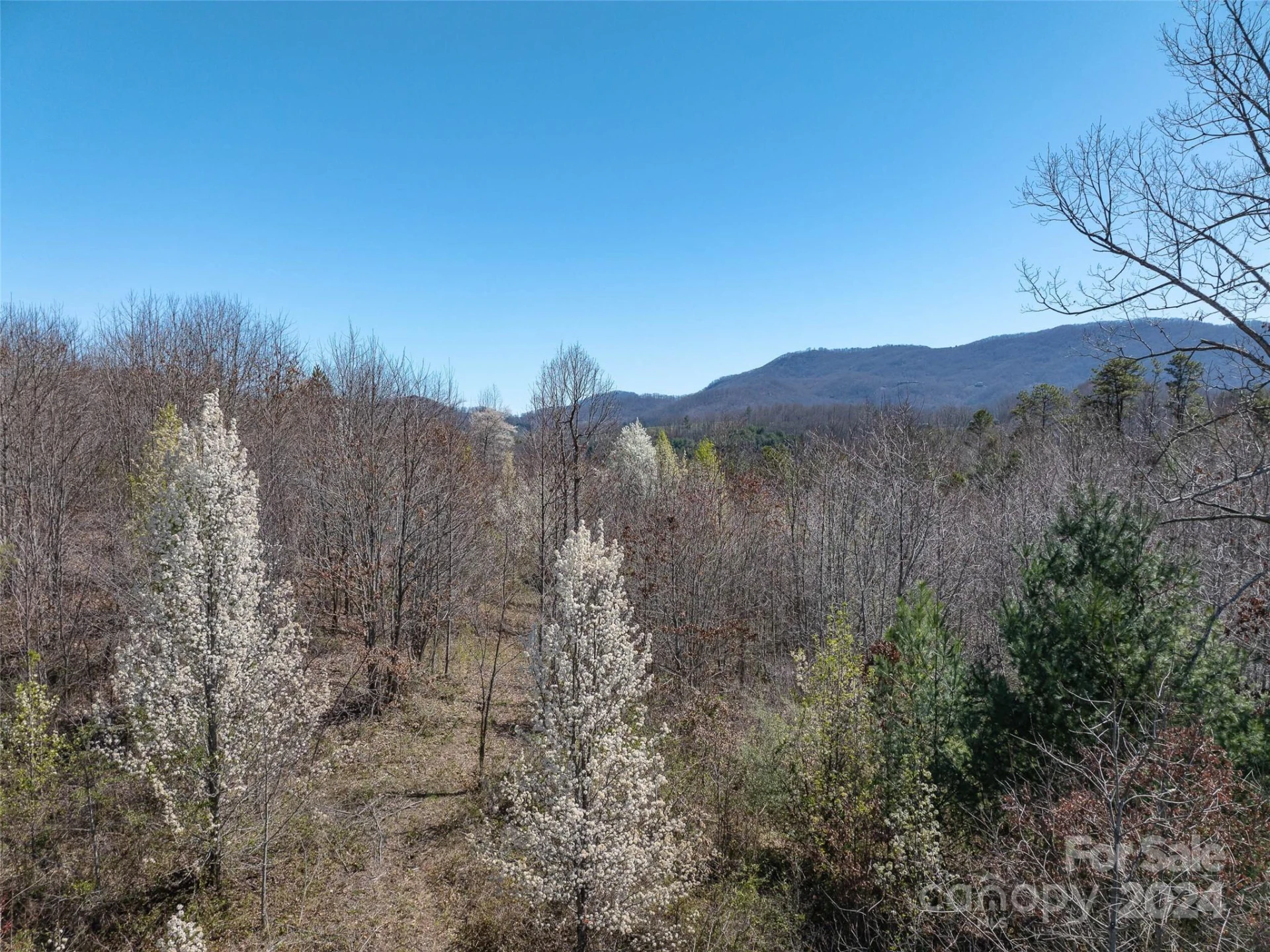 00 Woodland Drive - Photo 6