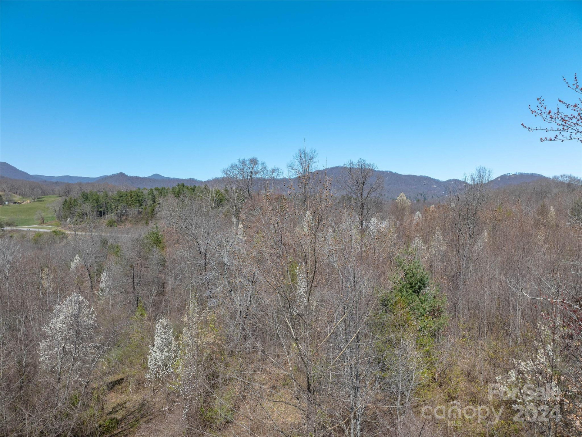 00 Woodland Drive - Photo 7