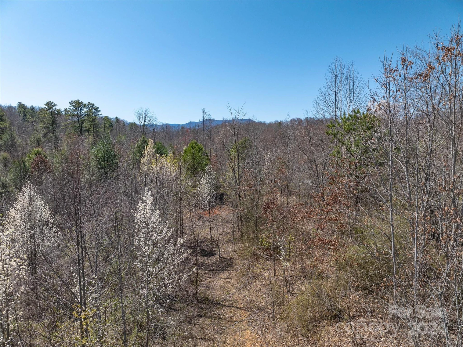00 Woodland Drive - Photo 8