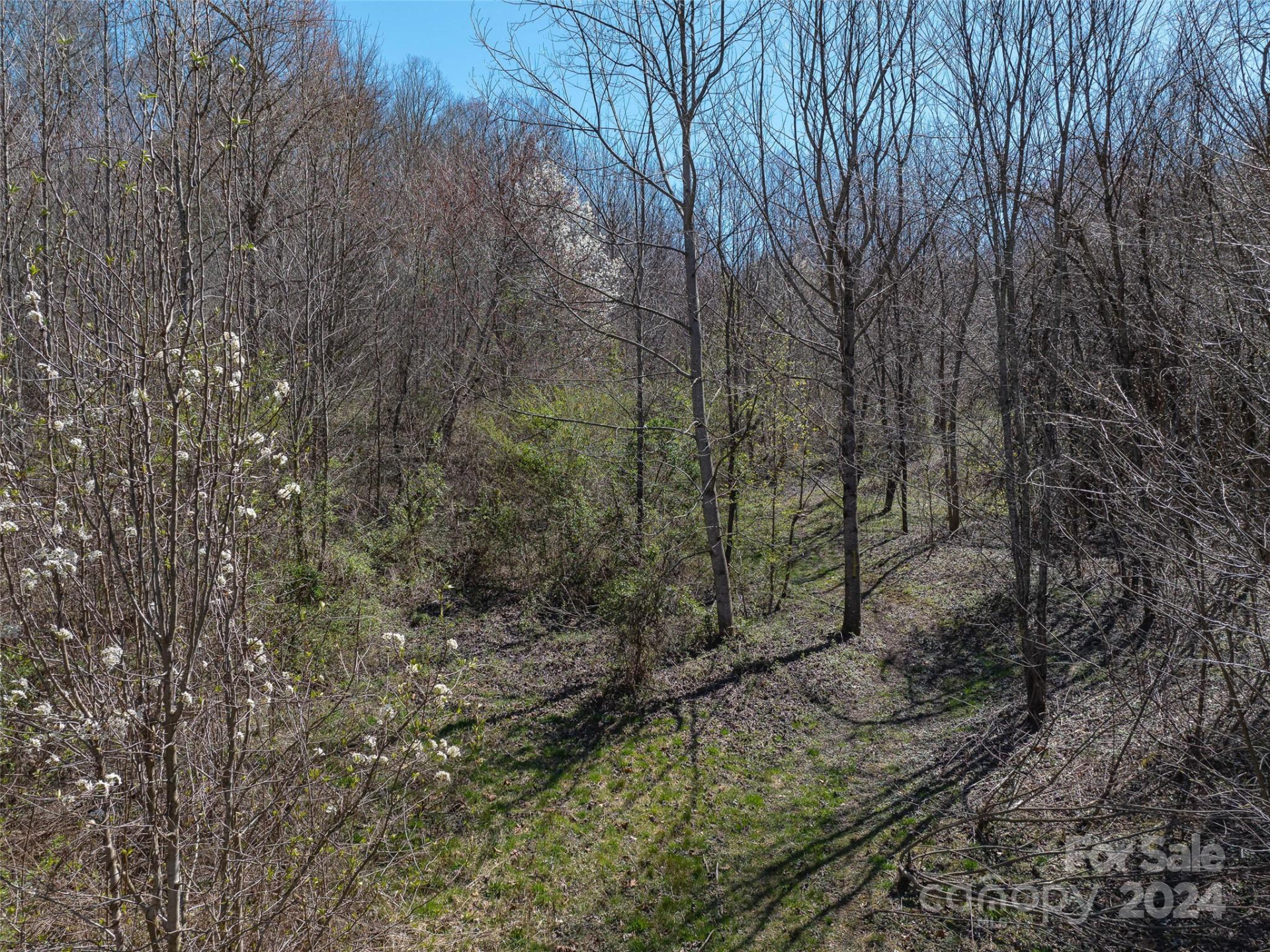 00 Woodland Drive - Photo 9