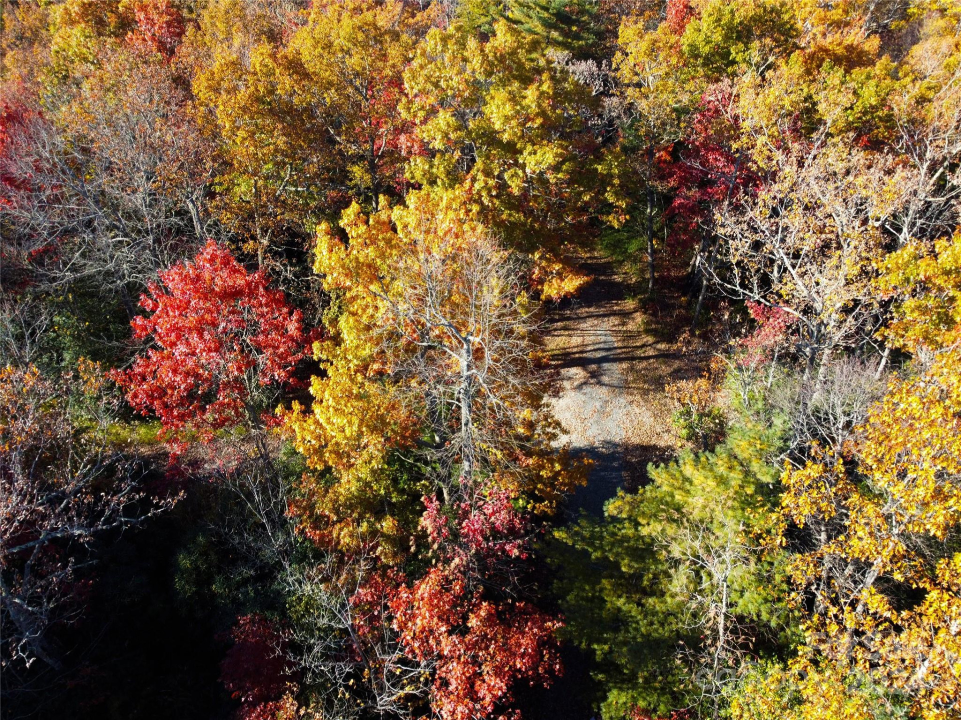 Lot D2 000 Dogwood Lane - Photo 2